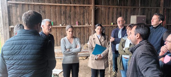 Floirac&nbsp;: La préfète visite une exploitation ovine et noix