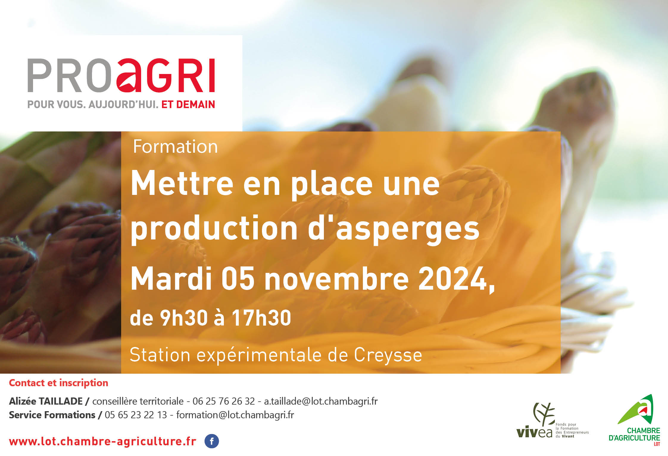 Formation&nbsp;: mettre en place une production d&rsquo;asperges