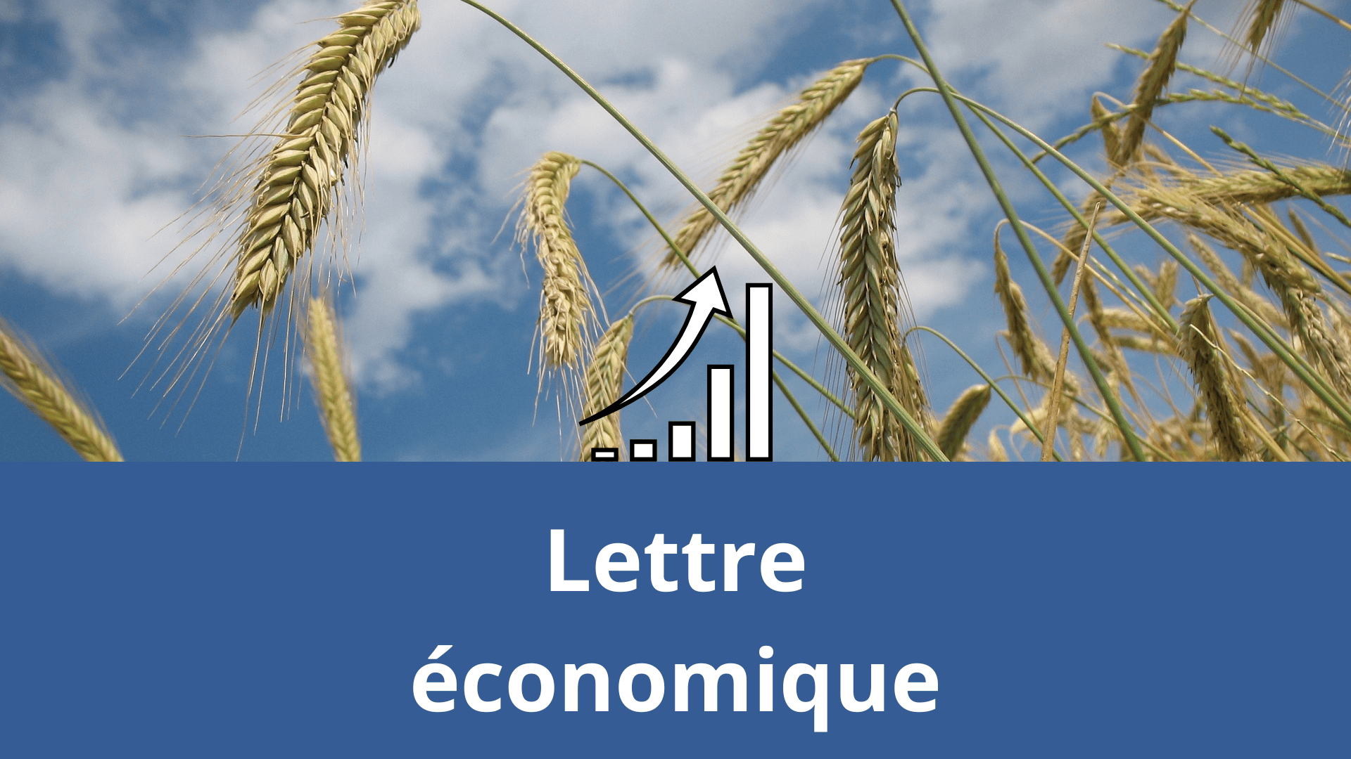 Lettre économique des Chambres d’agriculture&nbsp;: Pas (ou moins) de beurre dans les épinards