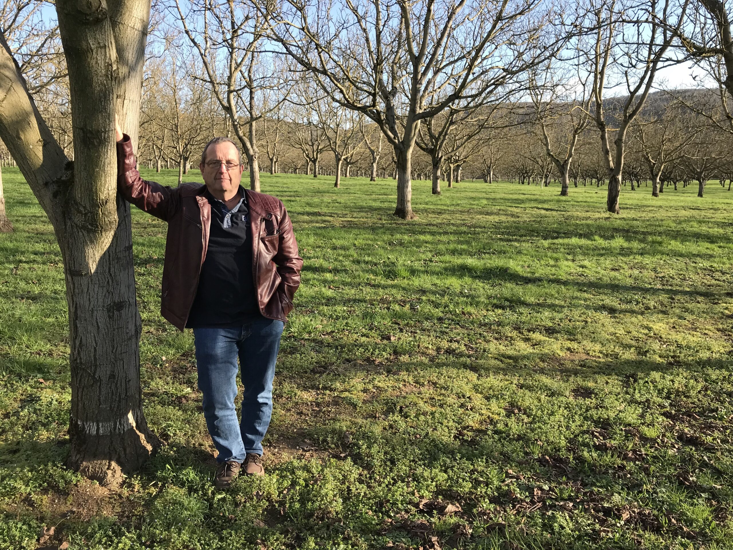 Récolte noix 2024 Situation catastrophique&nbsp;!