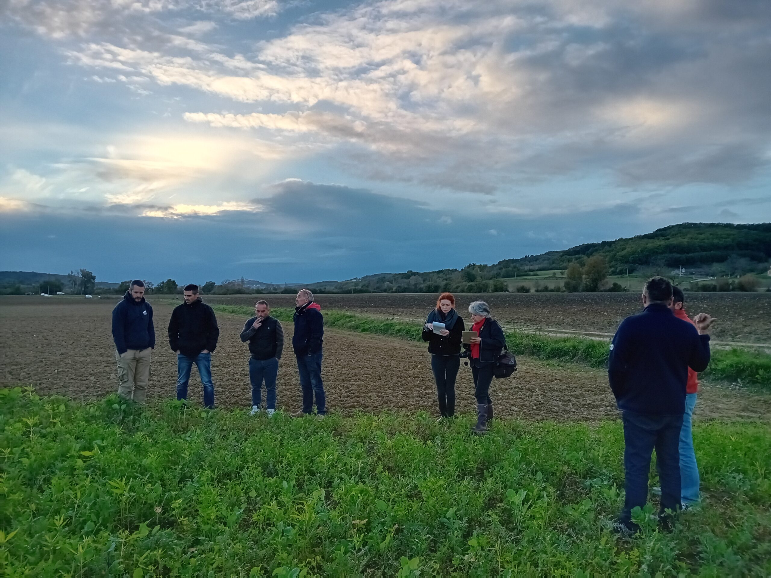 Grandes cultures bio&nbsp;: Stabilisation des marchés