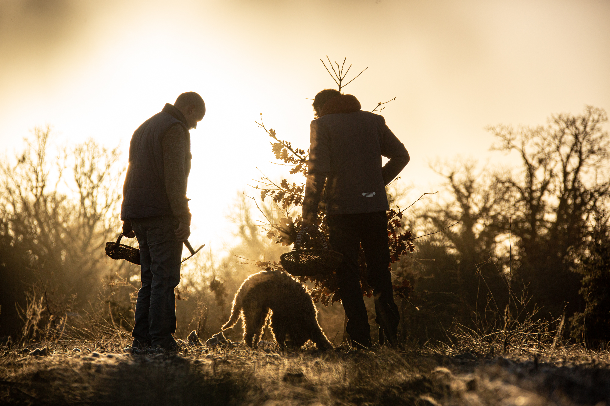 16e Foire aux Truffes et Produits Régionaux&nbsp;: une célébration du diamant noir à Cuzance