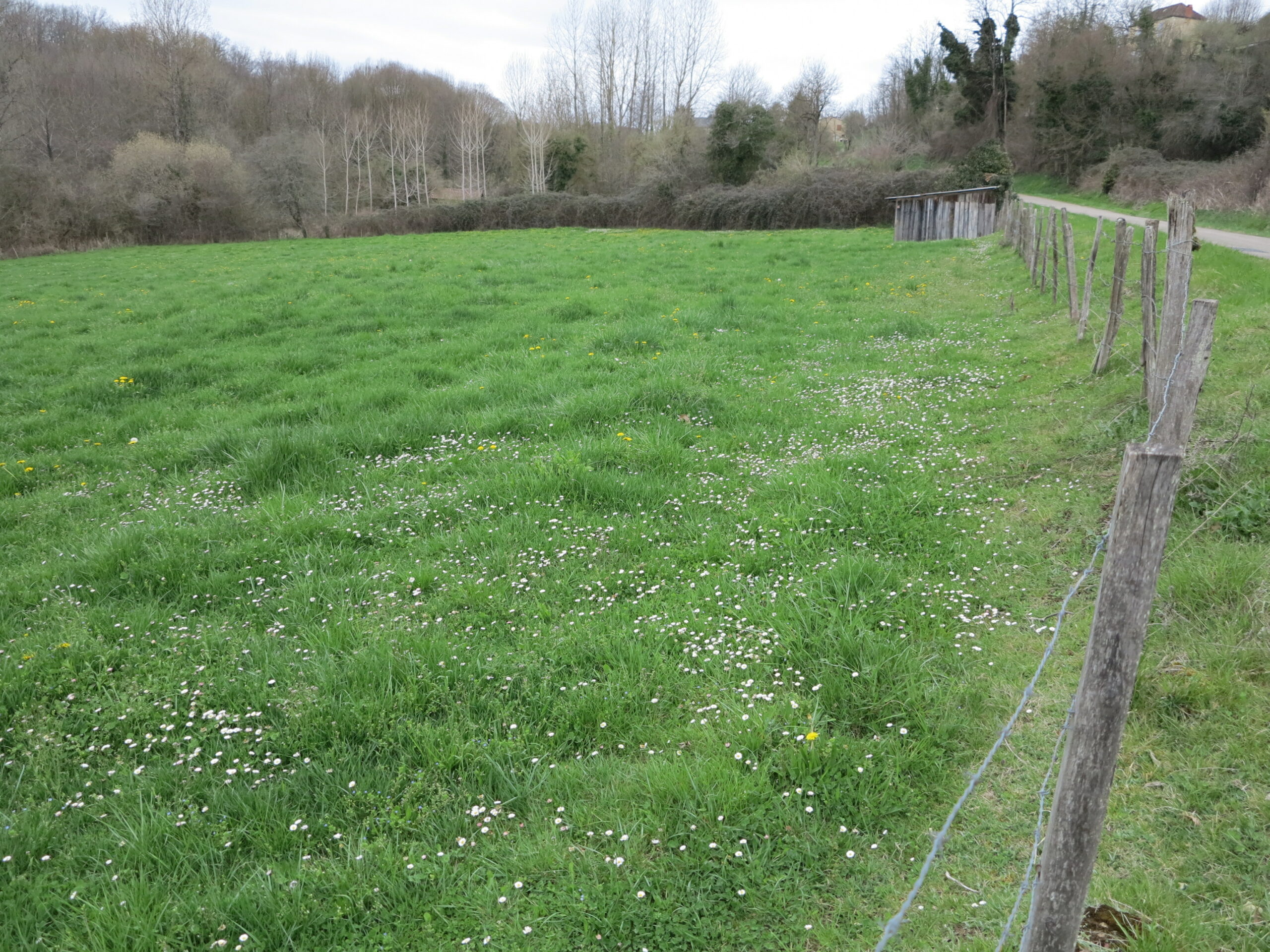 Pousse de l’herbe&nbsp;: Fiabiliser les mesures du satellite