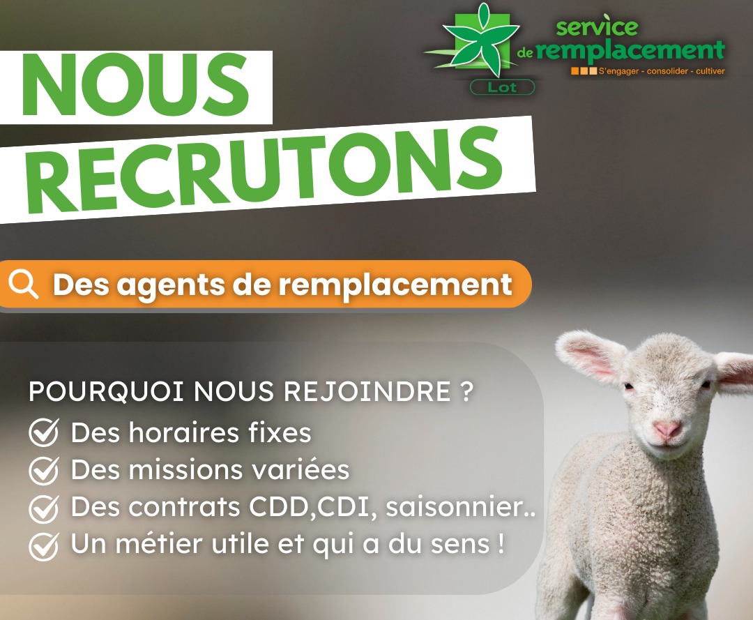 Le service remplacement recrute&nbsp;!