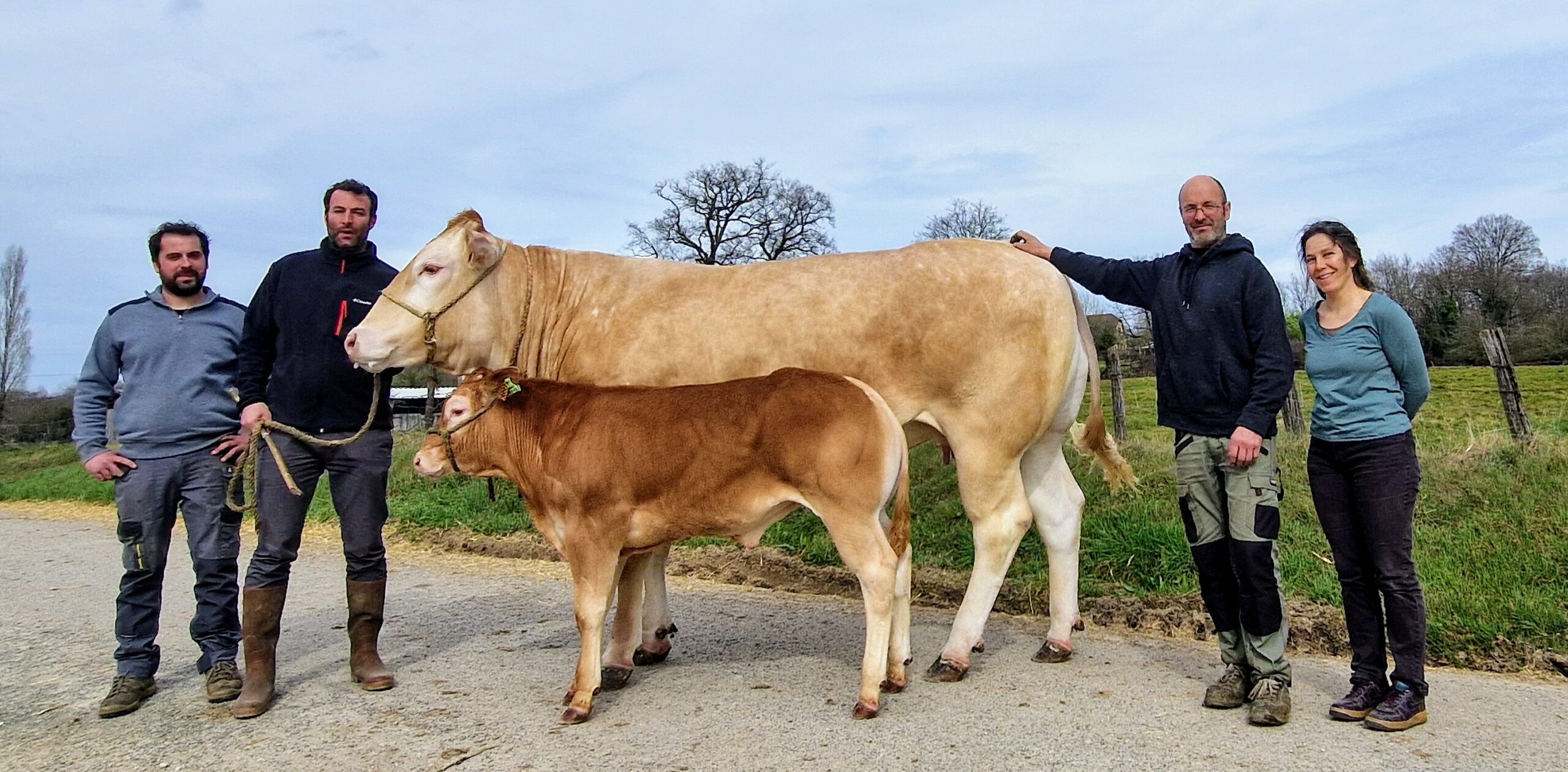 Sultane et son veau Vieux-Boucau, avant leur départ pour le Salon de l&rsquo;agriculture