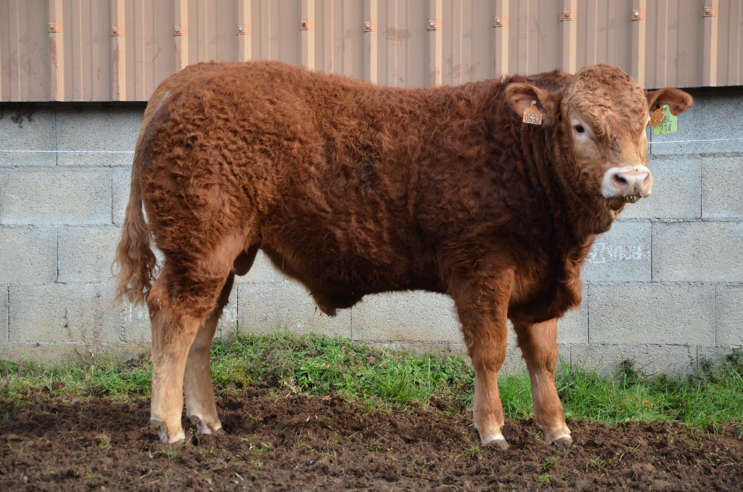 ABL 2&nbsp;: Vente aux enchères le vendredi 28 mars à 10h30