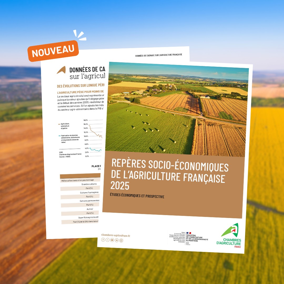 𝗔𝗴𝗿𝗶𝗰𝘂𝗹𝘁𝘂𝗿𝗲 𝗳𝗿𝗮𝗻𝗰̧𝗮𝗶𝘀𝗲&nbsp;: 𝗲́𝘁𝗮𝘁 𝗱𝗲𝘀 𝗹𝗶𝗲𝘂𝘅 𝗲𝘁 𝗽𝗲𝗿𝘀𝗽𝗲𝗰𝘁𝗶𝘃𝗲𝘀 𝟮𝟬𝟮𝟱