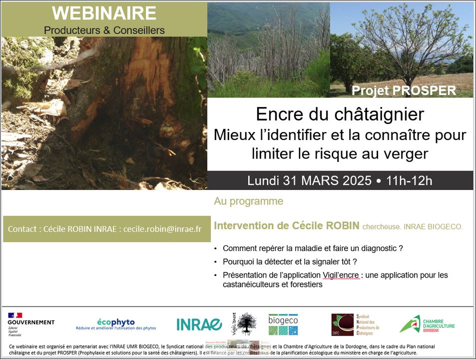 Prophylaxie et solutions pour la santé des châtaigniers&nbsp;: lundi 31 mars 2025 de 11h à 12 h