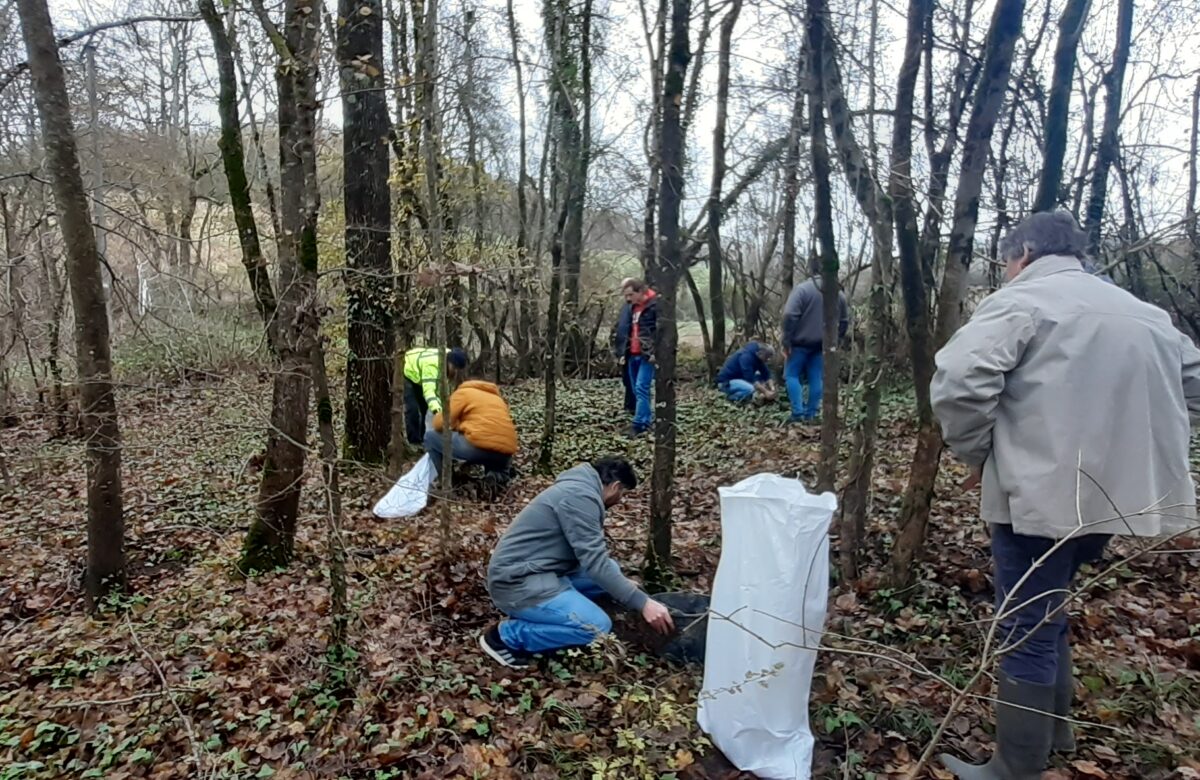 Biofertilisants&nbsp;: Une Solution Durable pour l&rsquo;Agriculture