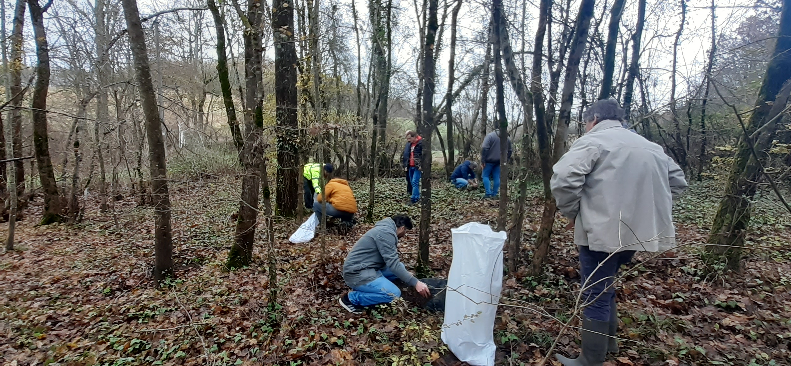Biofertilisants&nbsp;: Une Solution Durable pour l&rsquo;Agriculture