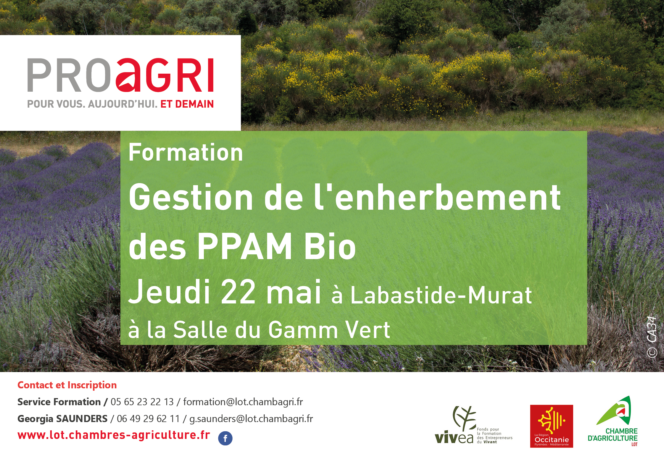 Formation&nbsp;: Gestion de l’enherbement des PPAM bio 22 mai 2025
