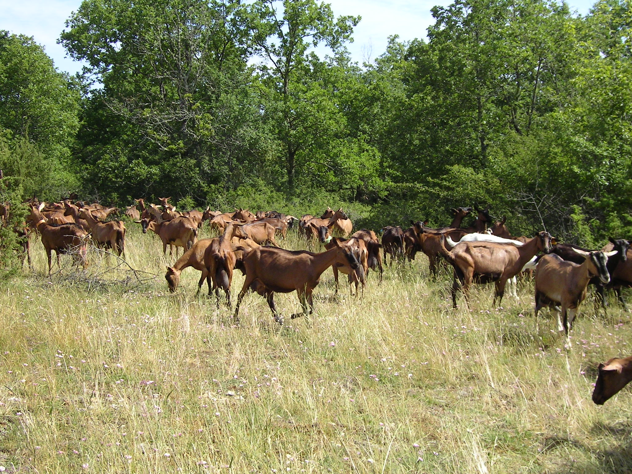 FNEC assemblée générale les 23 et 24 avril à Rodez
