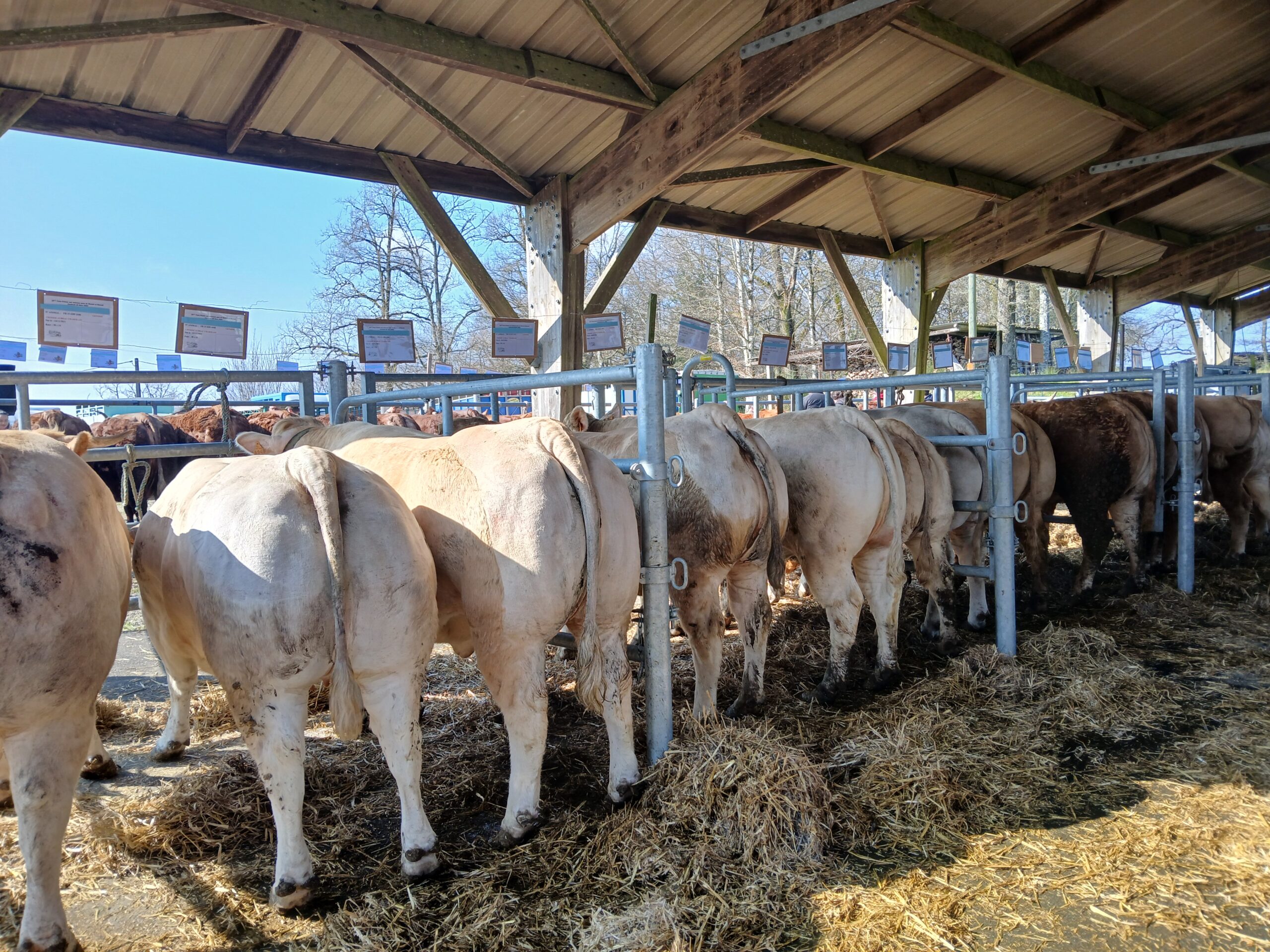 Montet et Bouxal&nbsp;: Une très belle foire primée