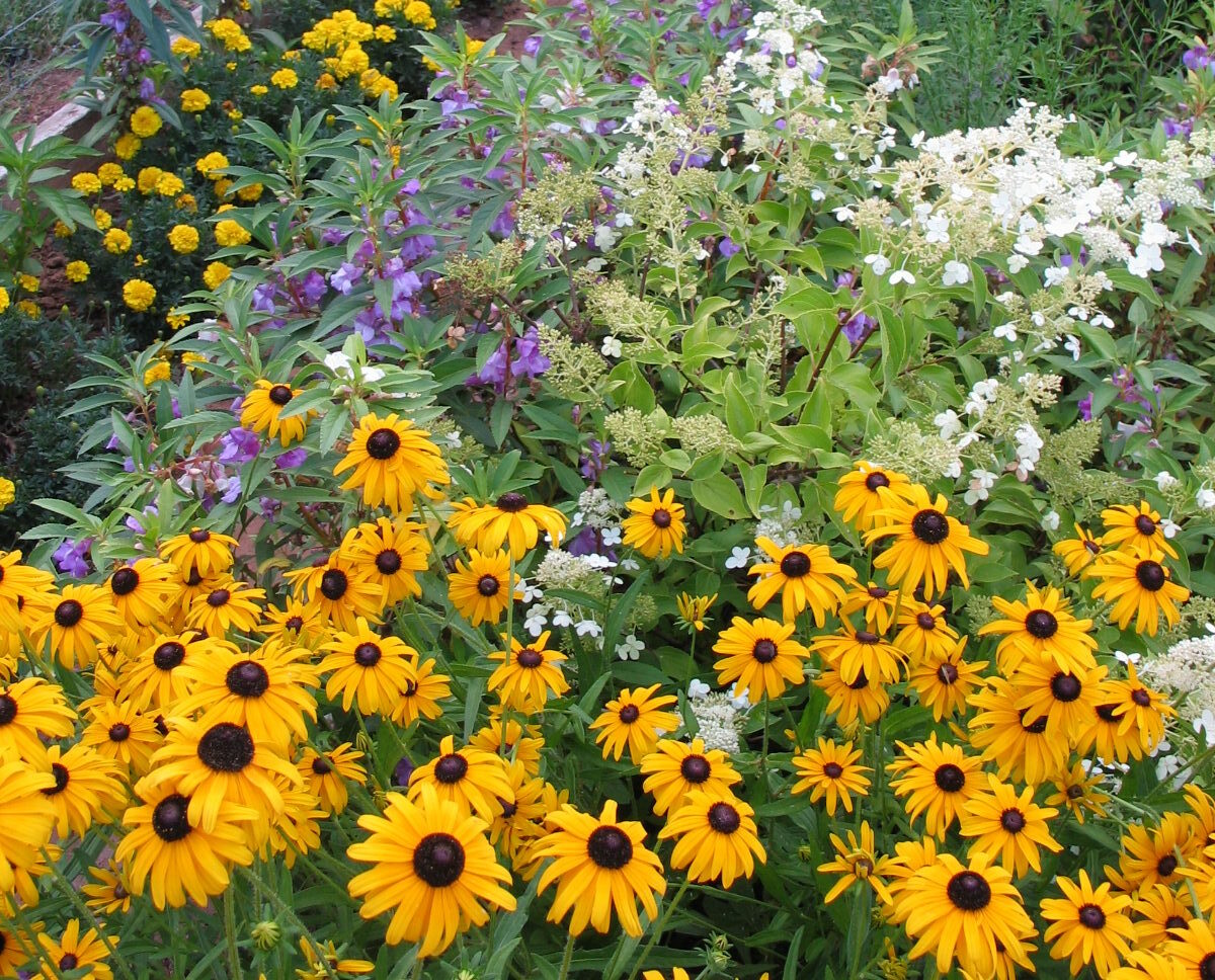 Jardinez avec la lune