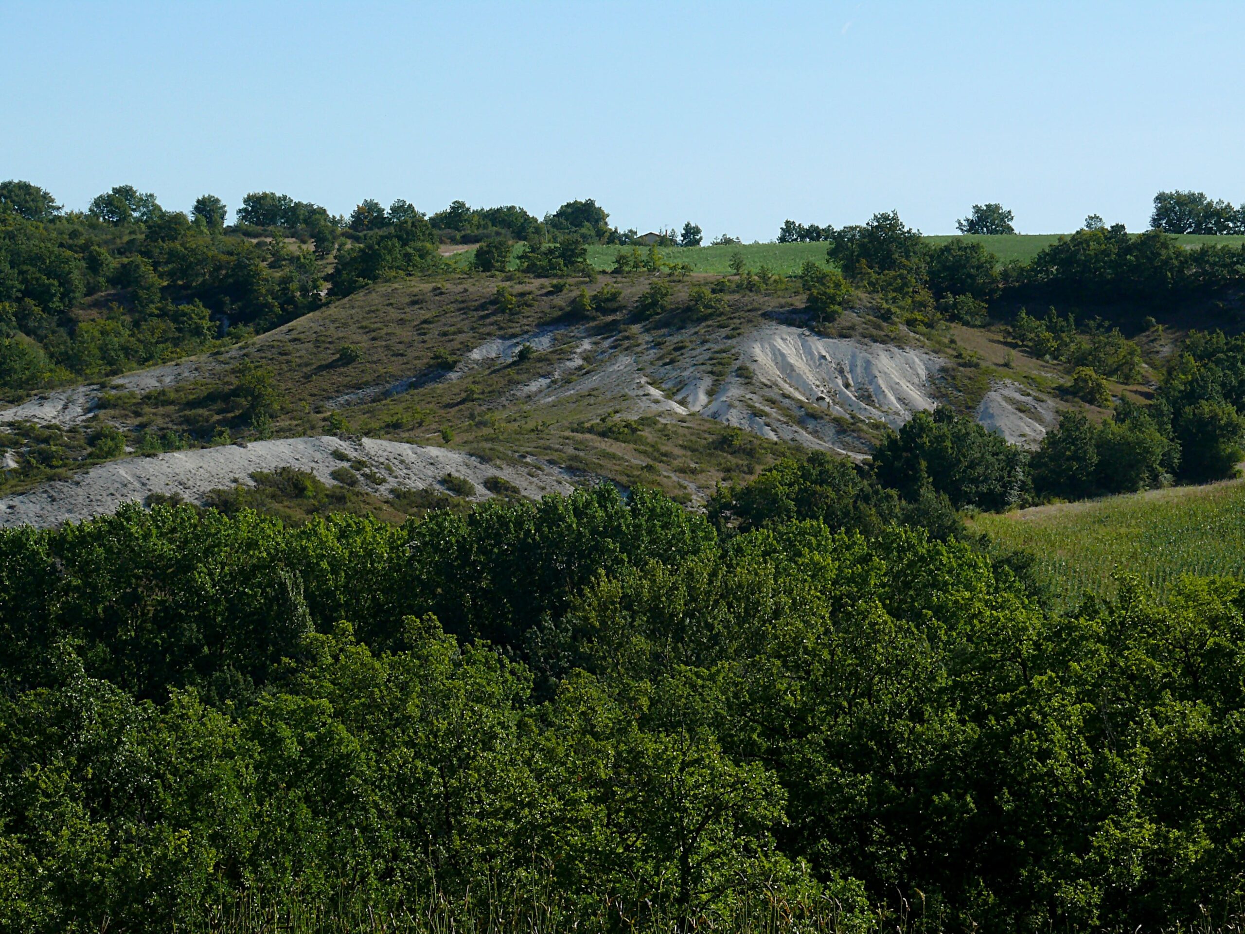 Le réseau marque valeurs parc se forme à l&rsquo;accessibilité