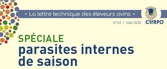 La lettre technique des éleveurs ovins&nbsp;: parasites internes de saison