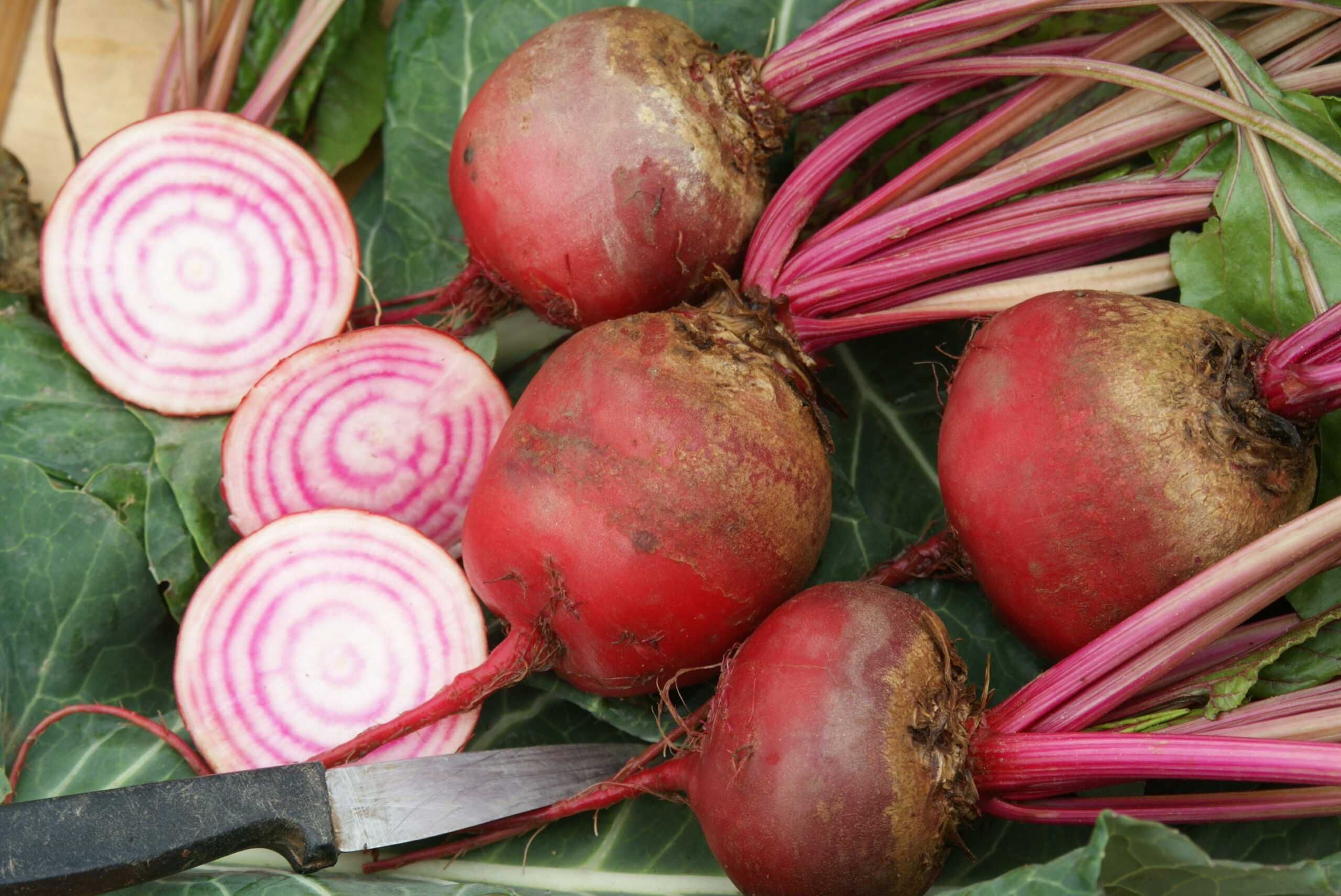Jardinez avec la lune