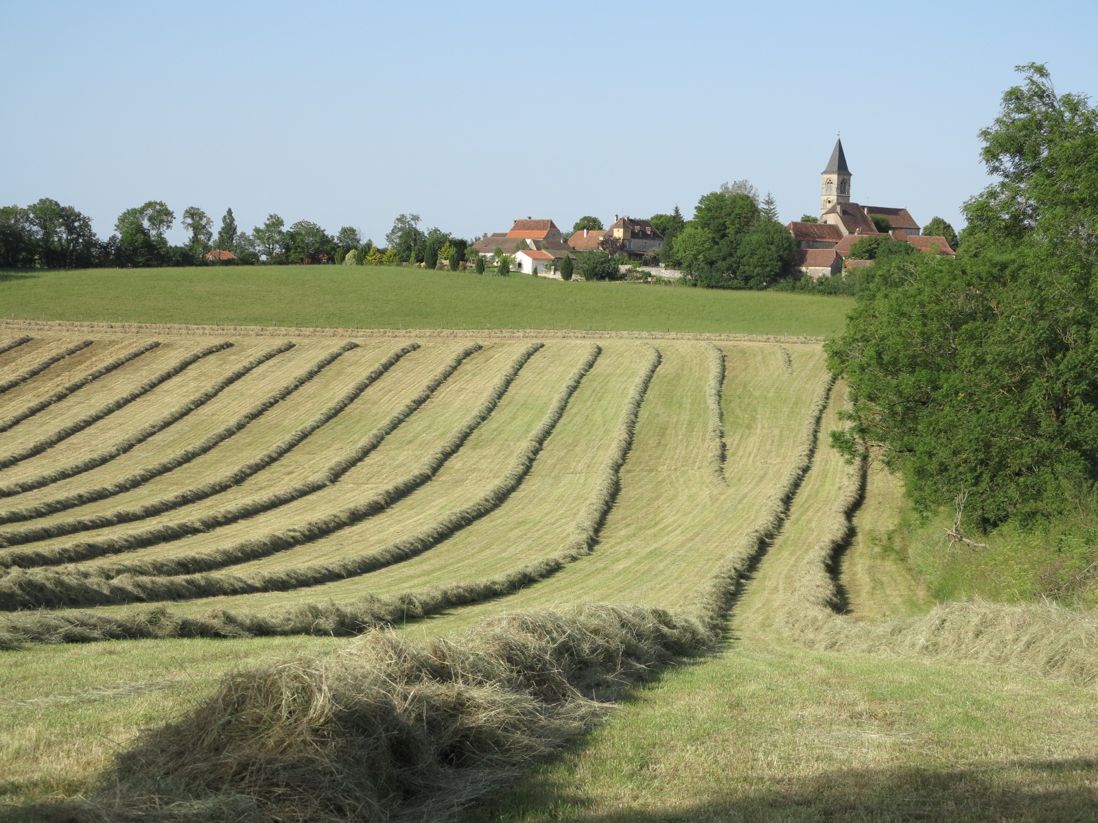 FD Cuma du Lot&nbsp;: Démonstration Fenaison le mercredi 11 juin à Cazillac