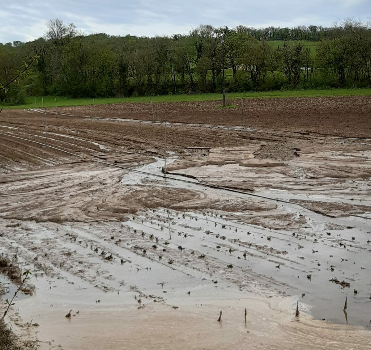 Excès d’eau et Tornade&nbsp;: Ravinement, arbres arrachés, les dégâts sont importants
