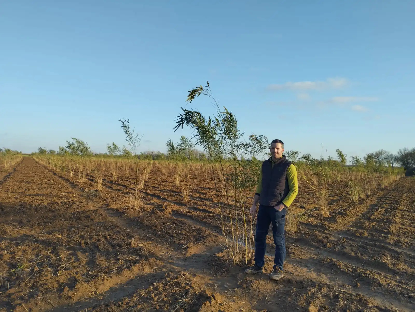 Diversification&nbsp;: La culture du bambou une vraie opportunité