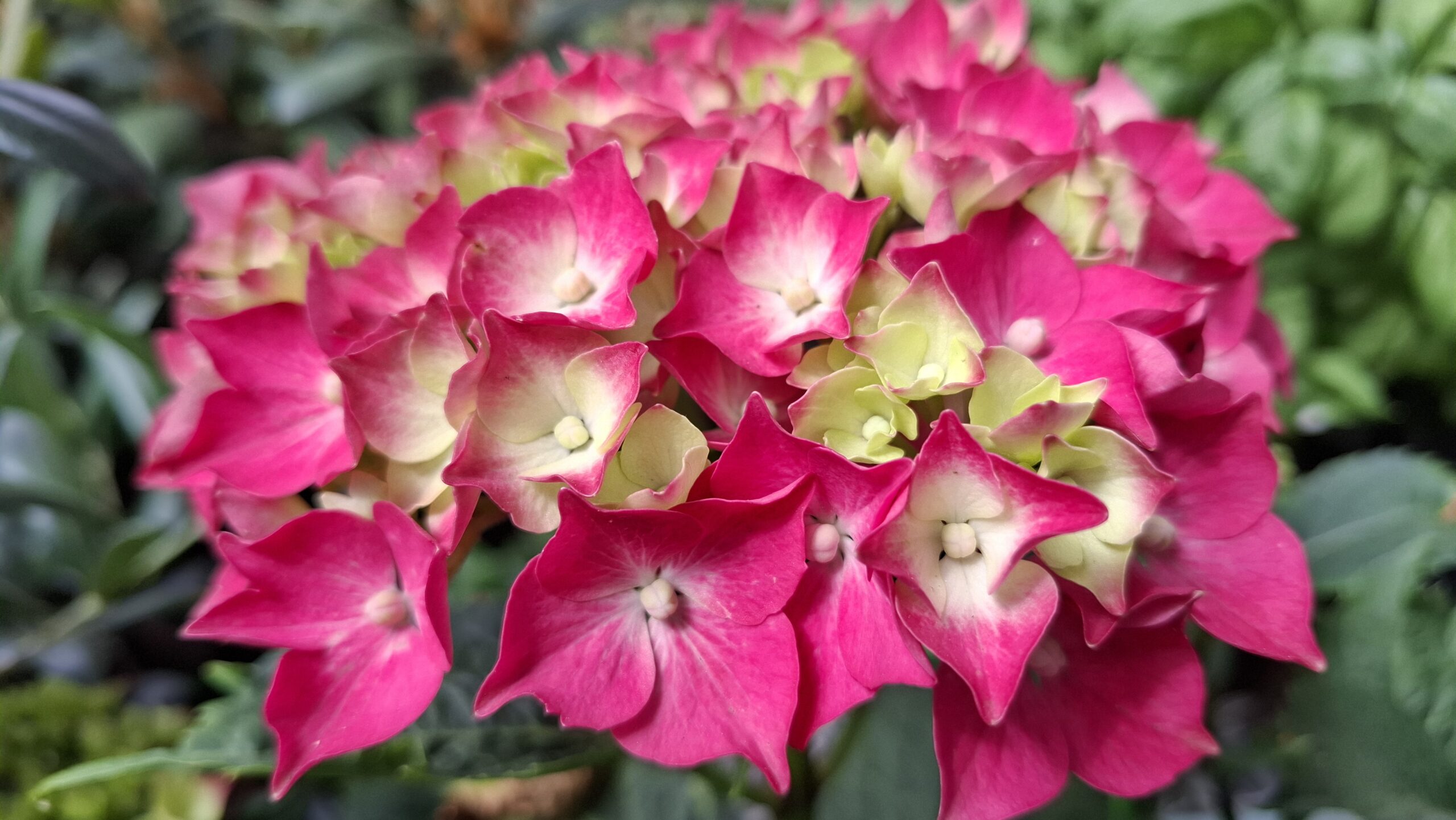 Jardinez avec la lune