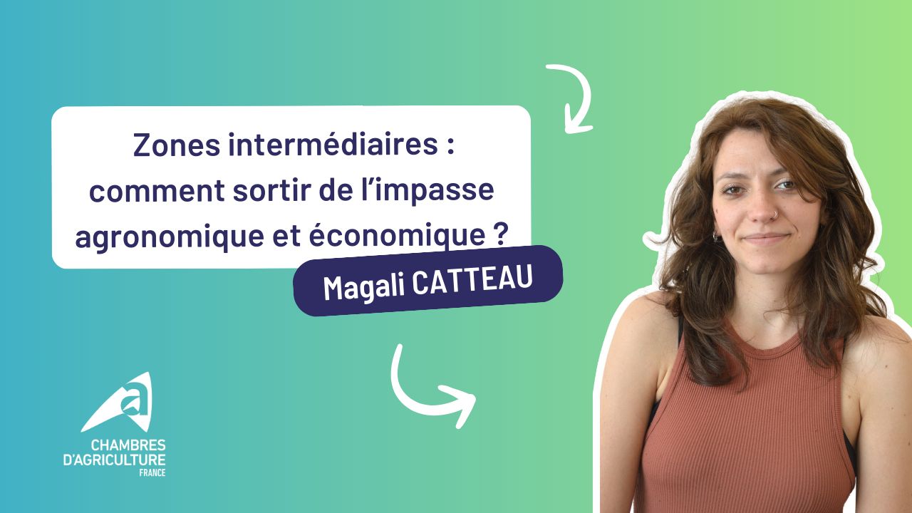 Zones intermédiaires&nbsp;: des territoires à revaloriser&nbsp;!