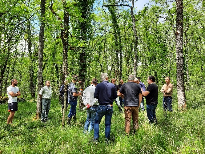 Comité régional valorisation du bois&nbsp;: Réunion des conseillers forestiers d’Occitanie sur le Lot