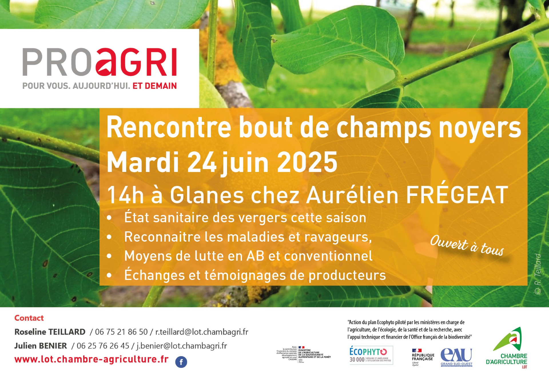  Invitation – Rencontre bout de champs noyers le 24 juin à Glanes