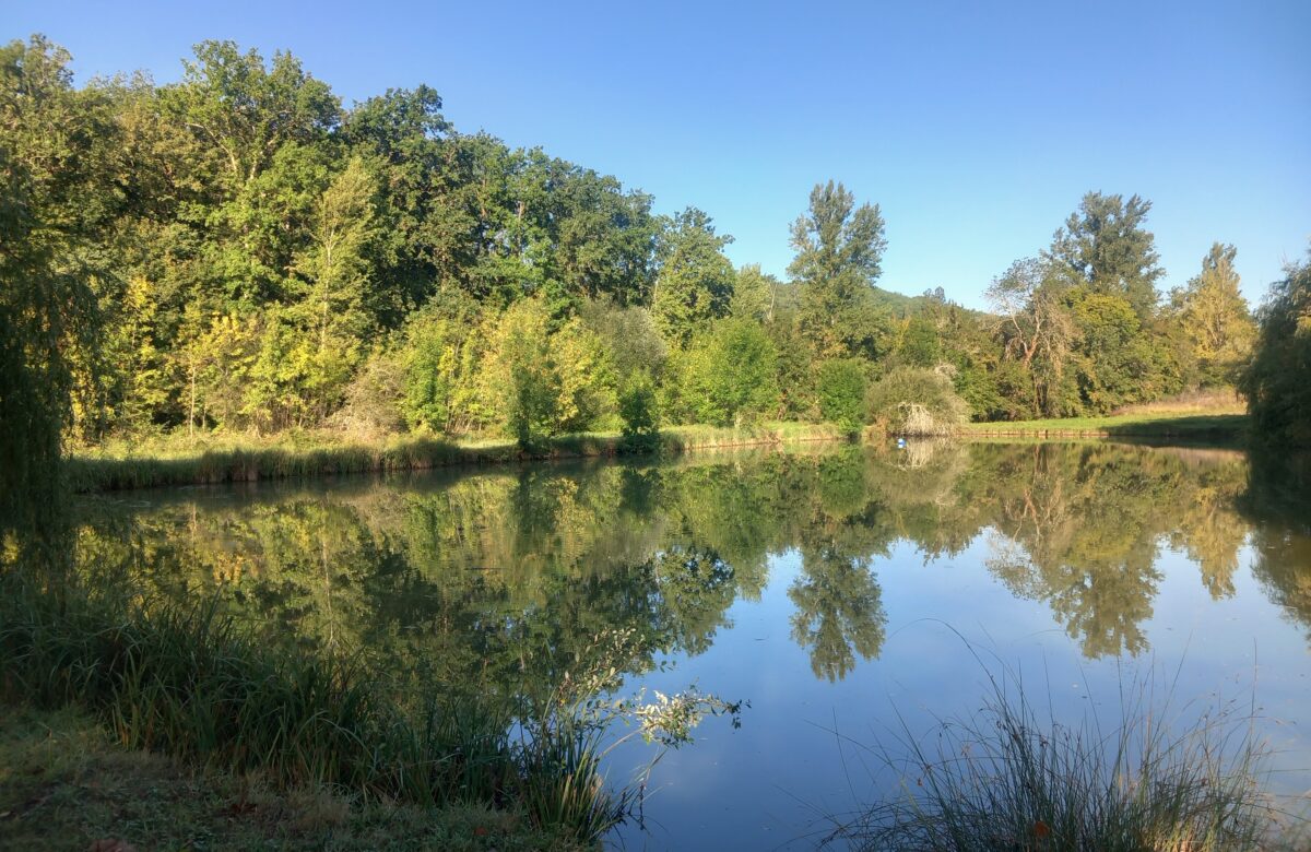Quercy Blanc&nbsp;: deux bassins en action pour restaurer la ressource en eau