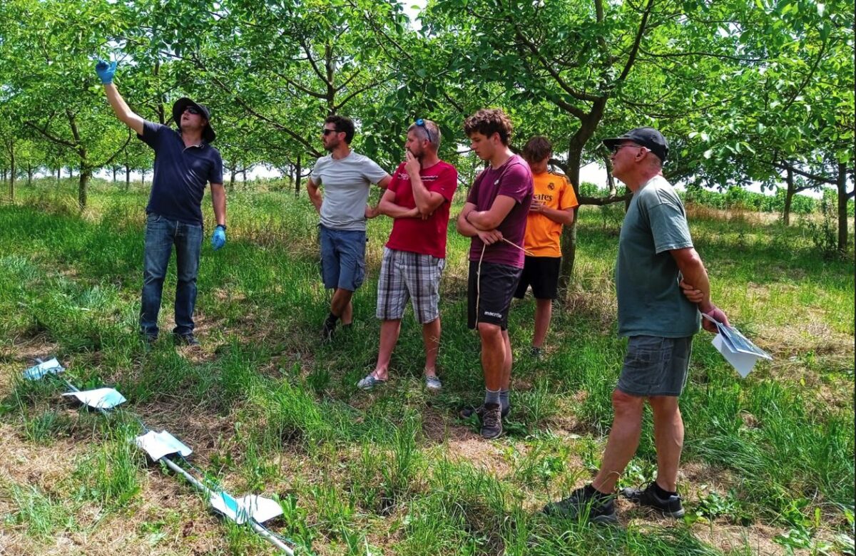 Glanes&nbsp;: Une rencontre noix au champs