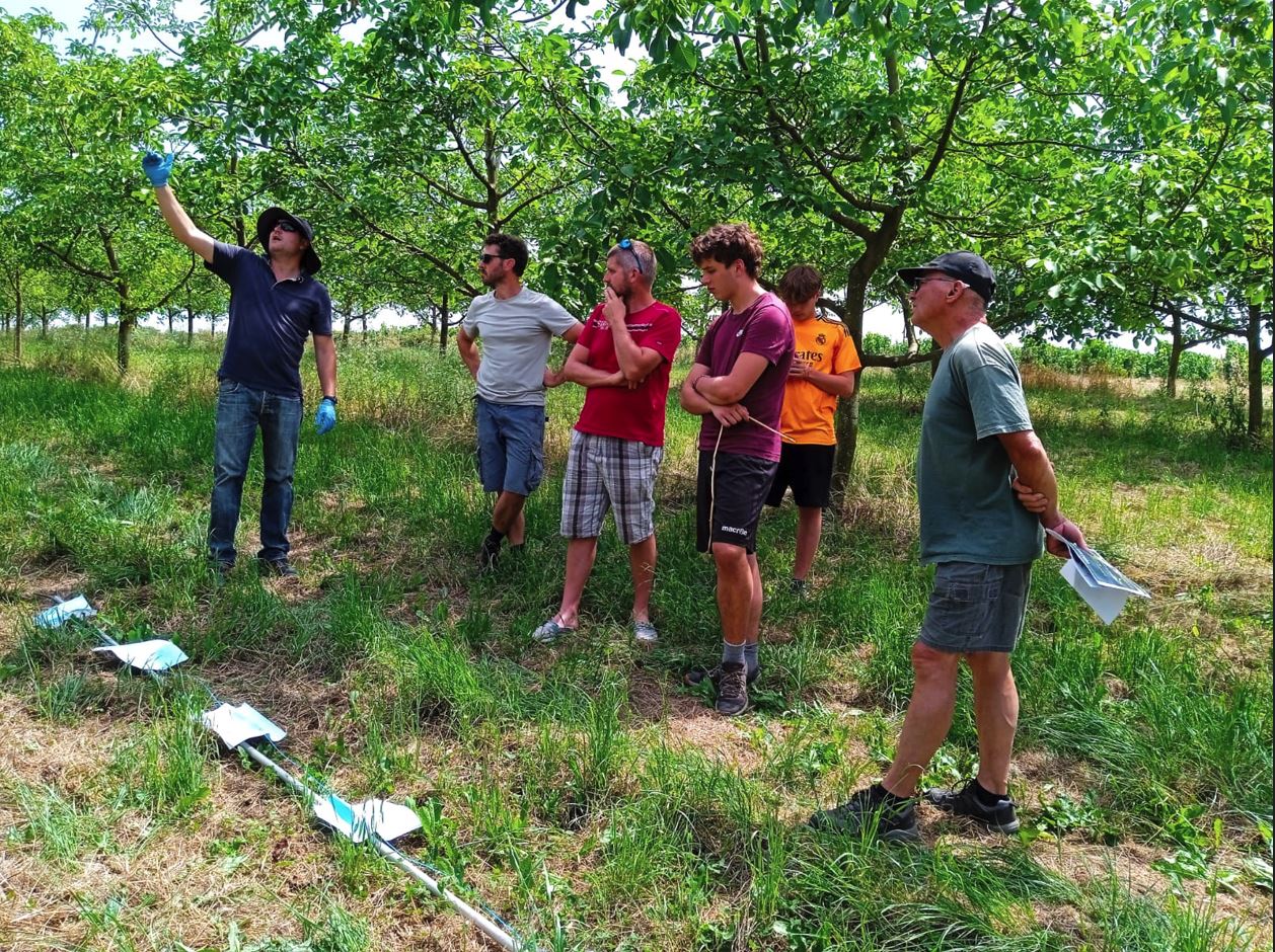 Glanes&nbsp;: Une rencontre noix au champs
