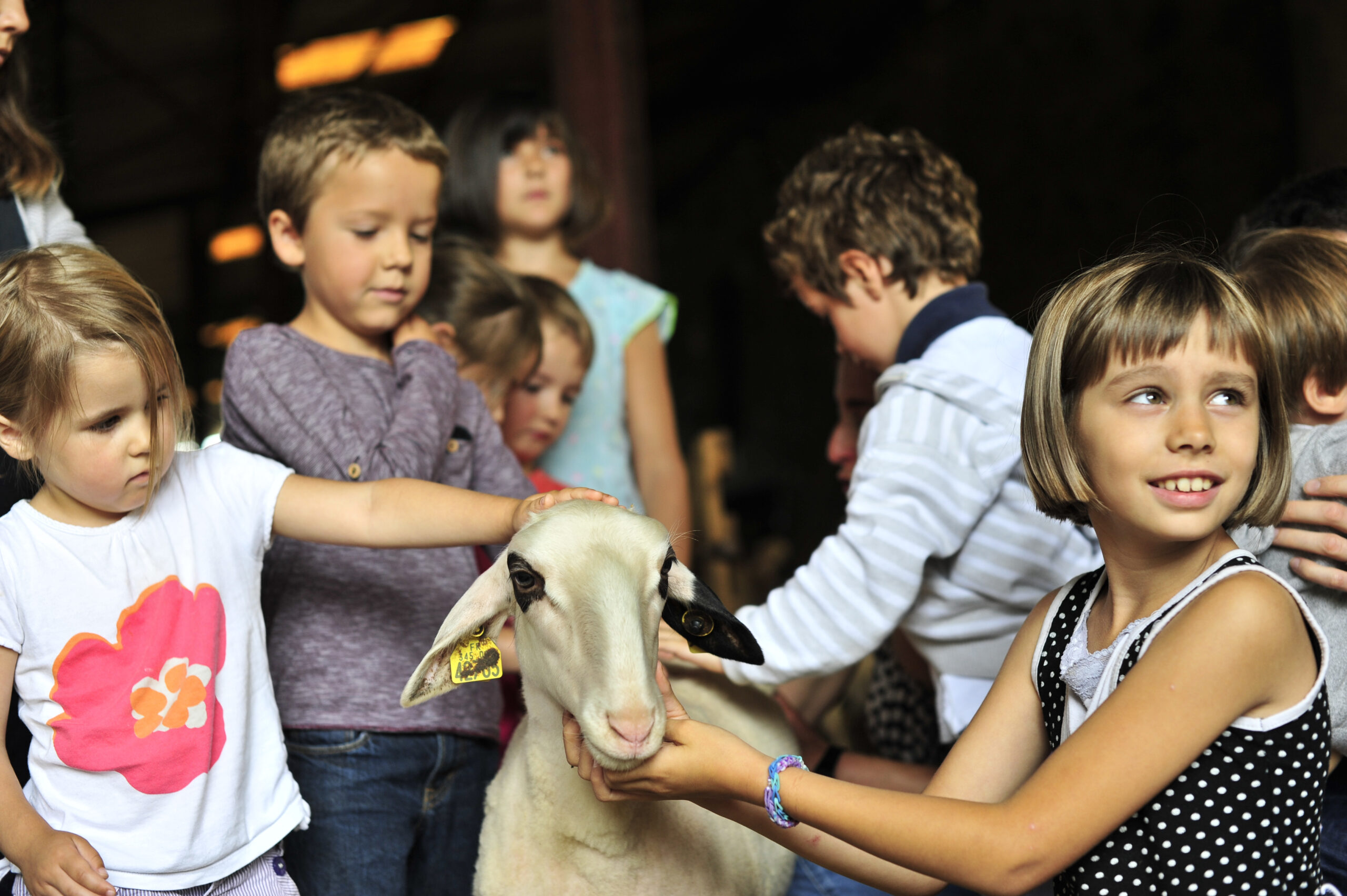 Fermes en Fête 2025 dans le Lot&nbsp;: Une ode à l’agriculture locale