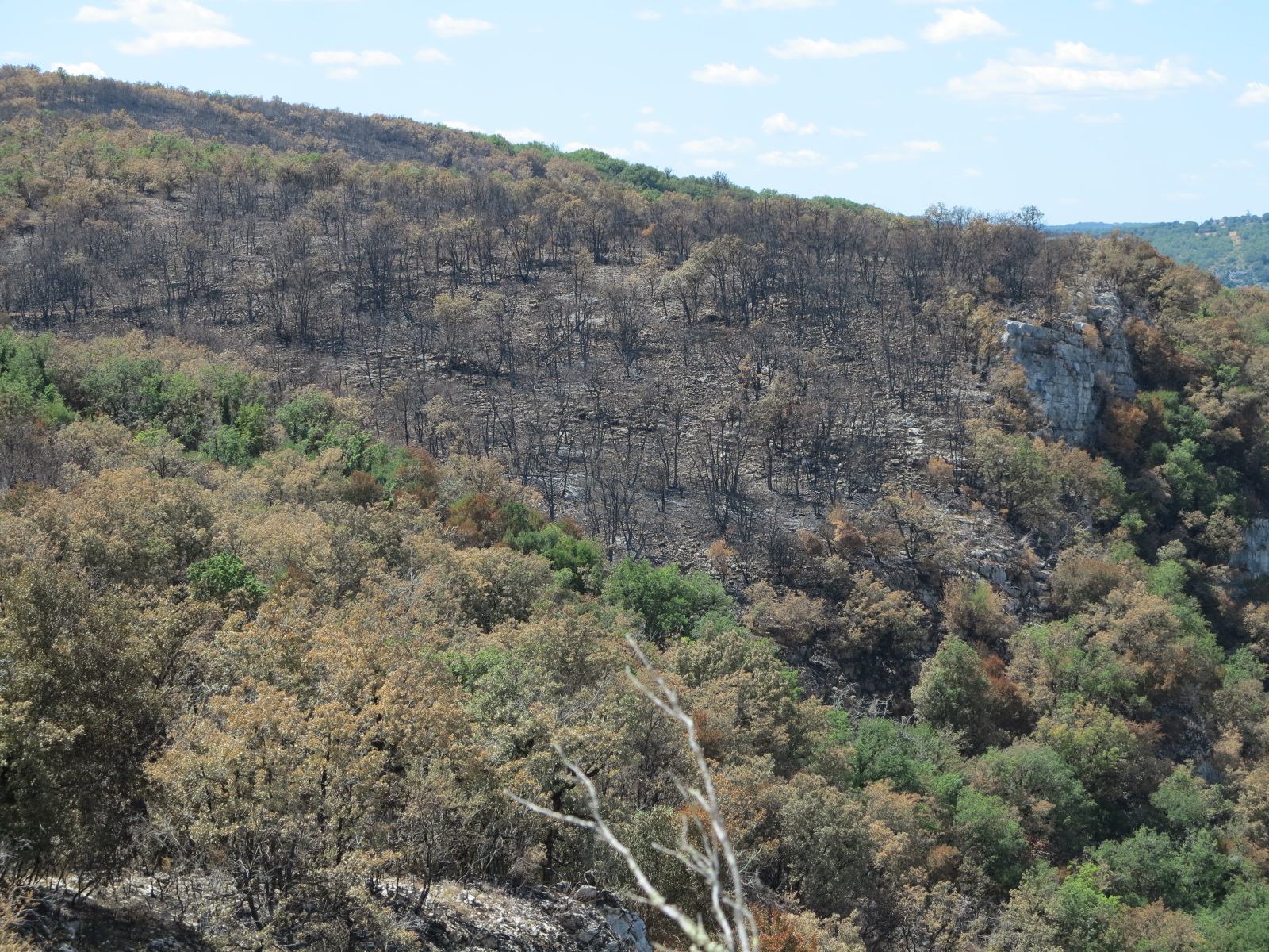 Incendie de Sauliac-sur-Célé&nbsp;: La solidarité rurale en renfort des pompiers