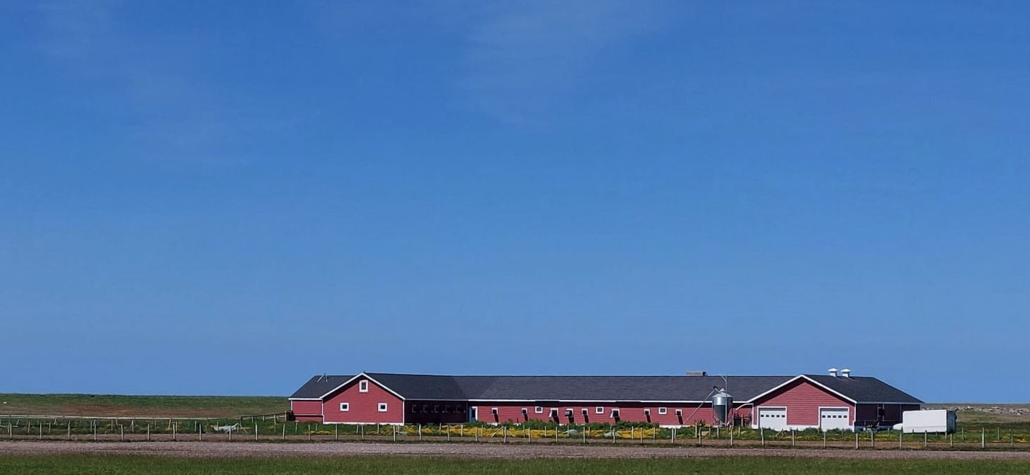 Chambre d’agriculture&nbsp;: Mission d’appui technique à l’élevage avicole de St-Pierre-et-Miquelon