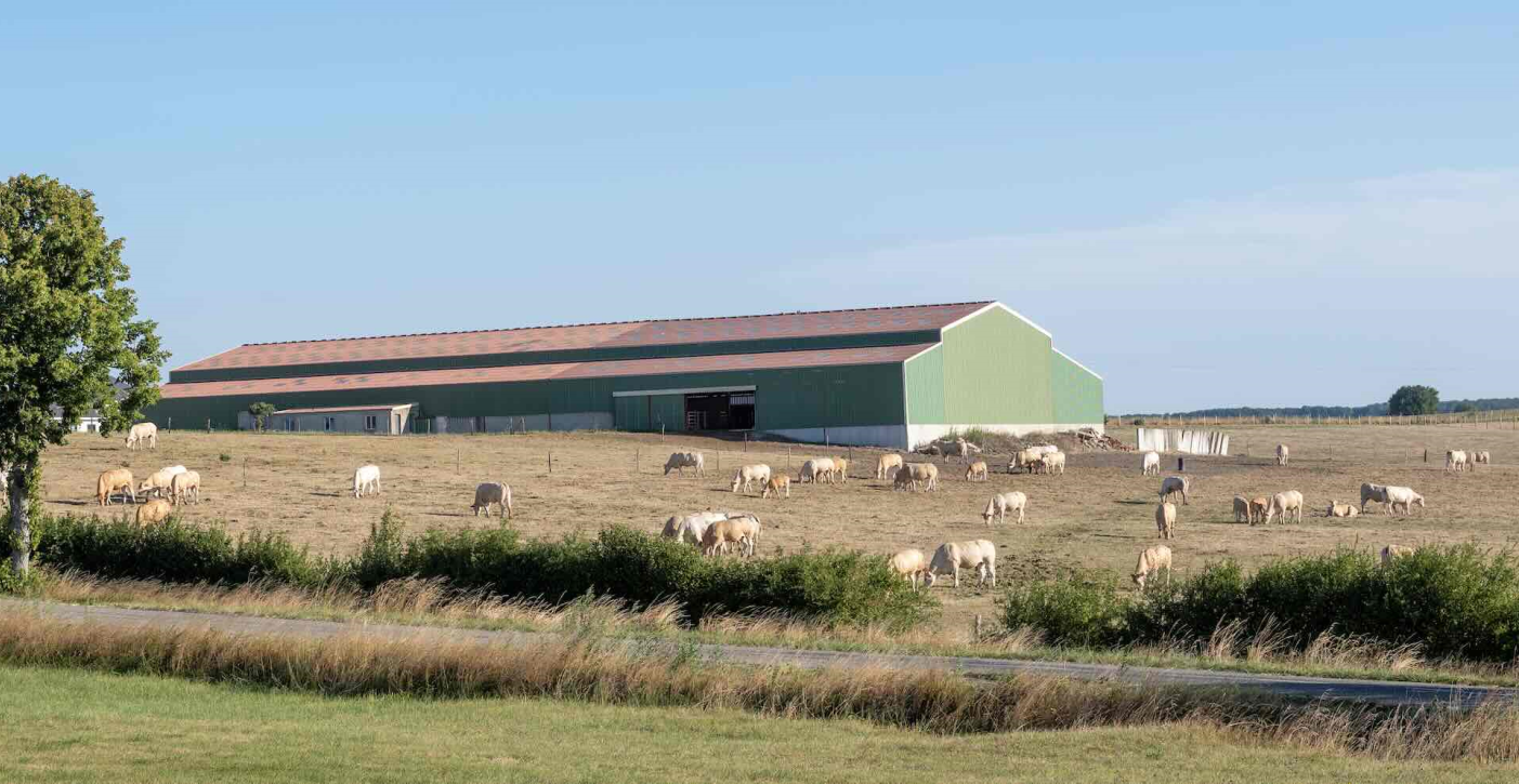 La PAC accélère la disparition des micro-exploitations