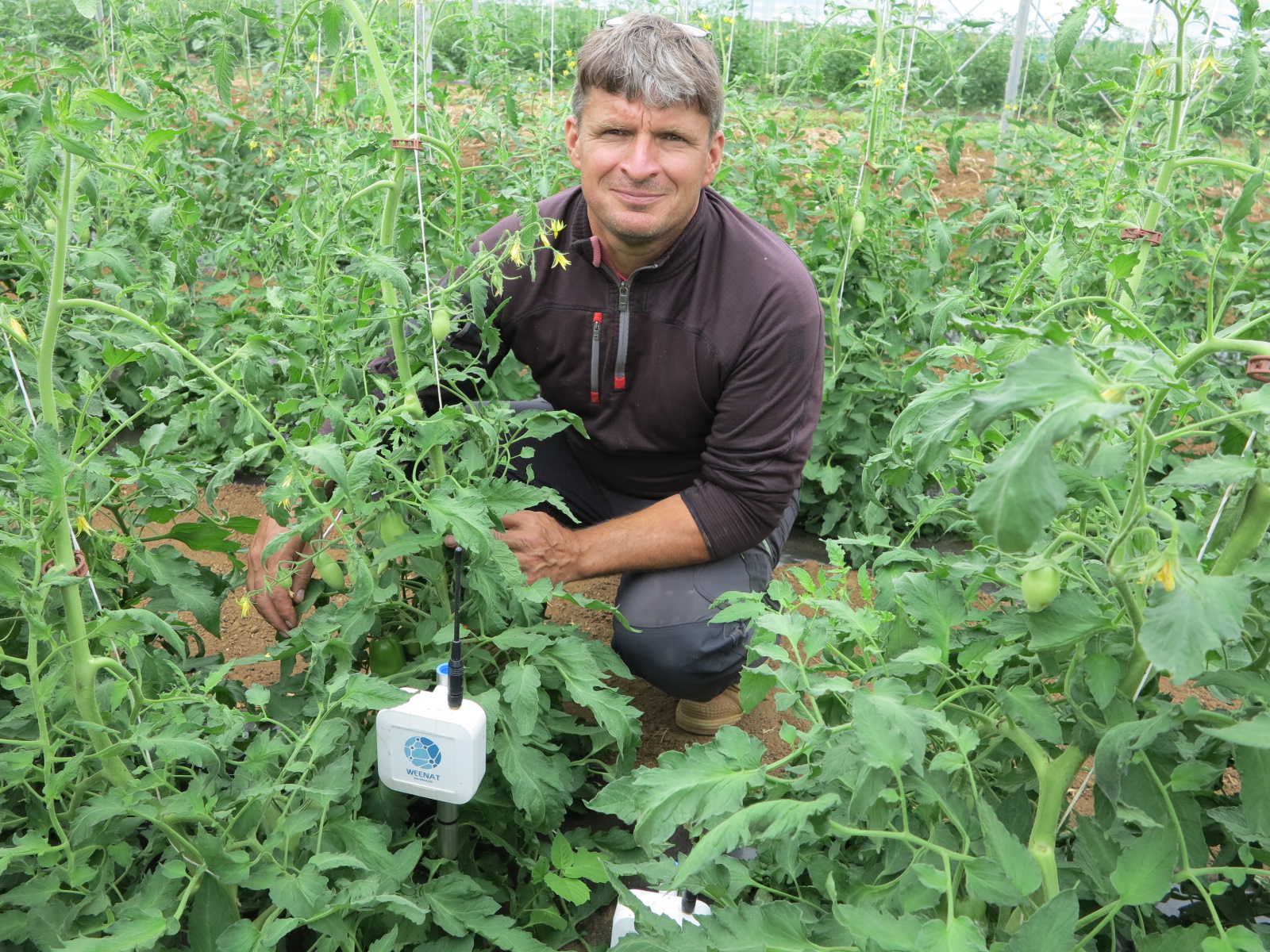 Gestion de l’irrigation&nbsp;: Les sondes tensiométriques pour économiser l’eau
