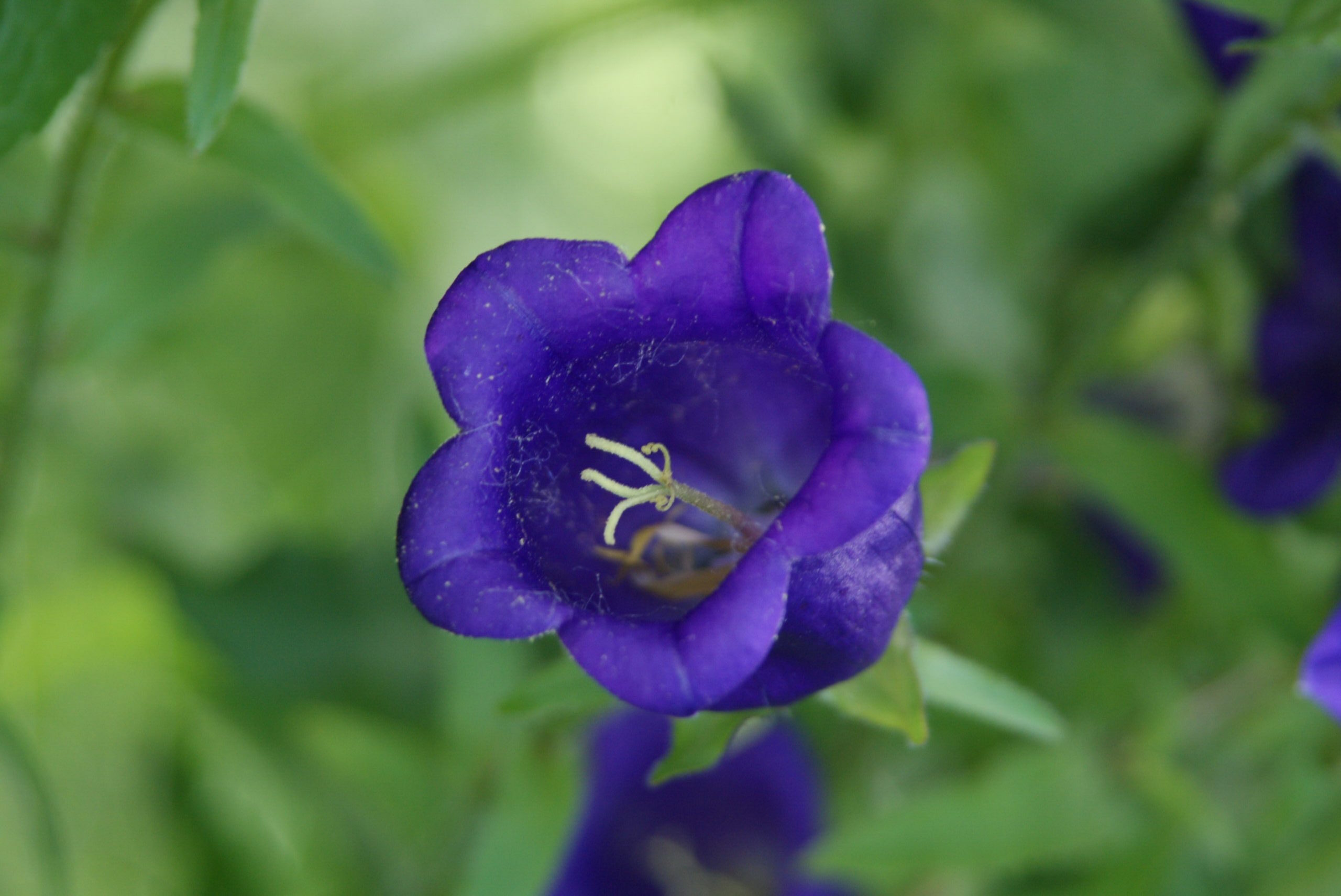 Jardinez avec la Lune