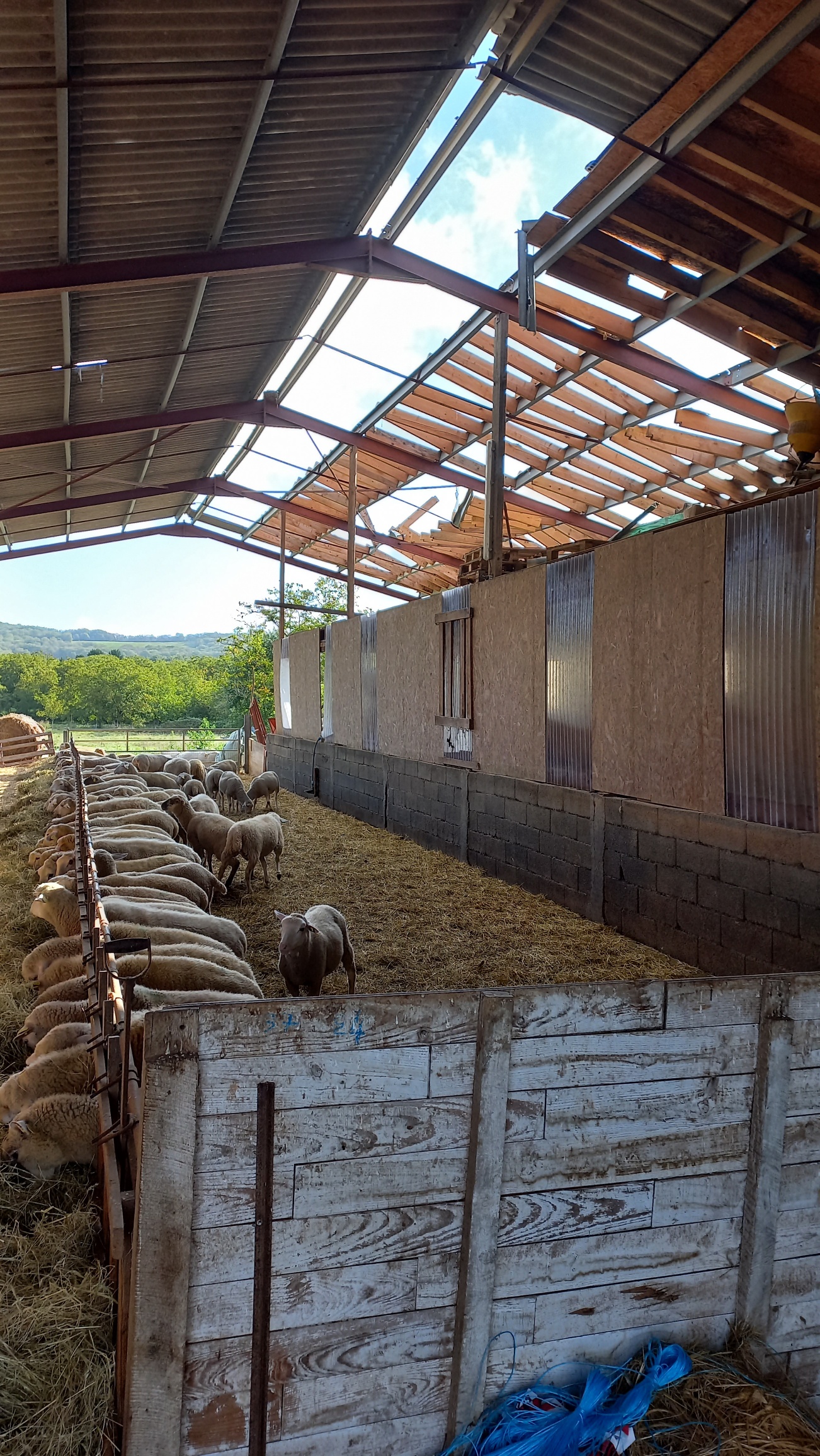 Mini-tornade à Martel&nbsp;: visite des dégâts