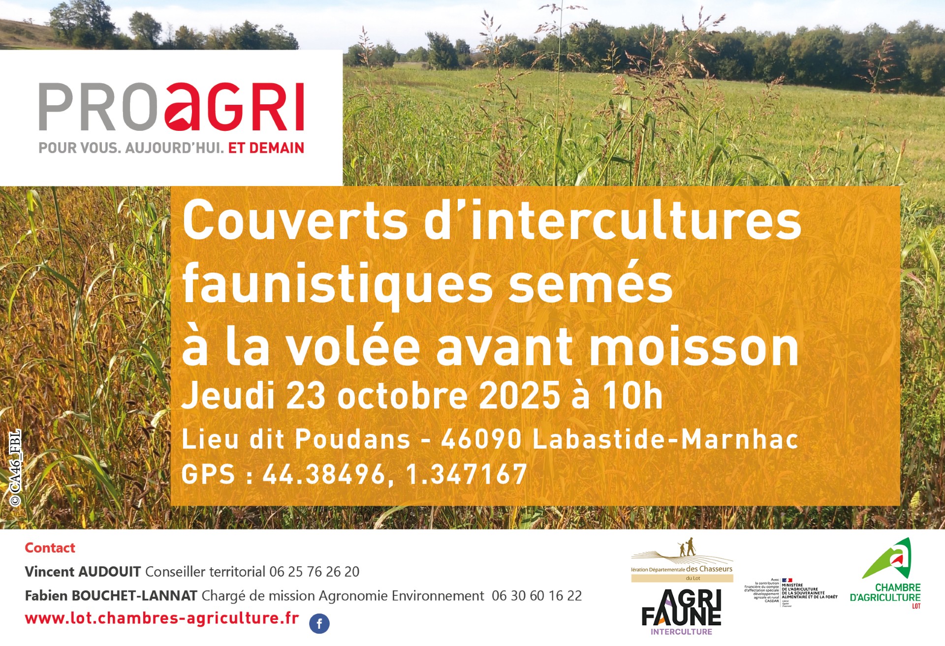 Journée technique&nbsp;: couverts d’intercultures faunistiques semés à la volée avant moisson