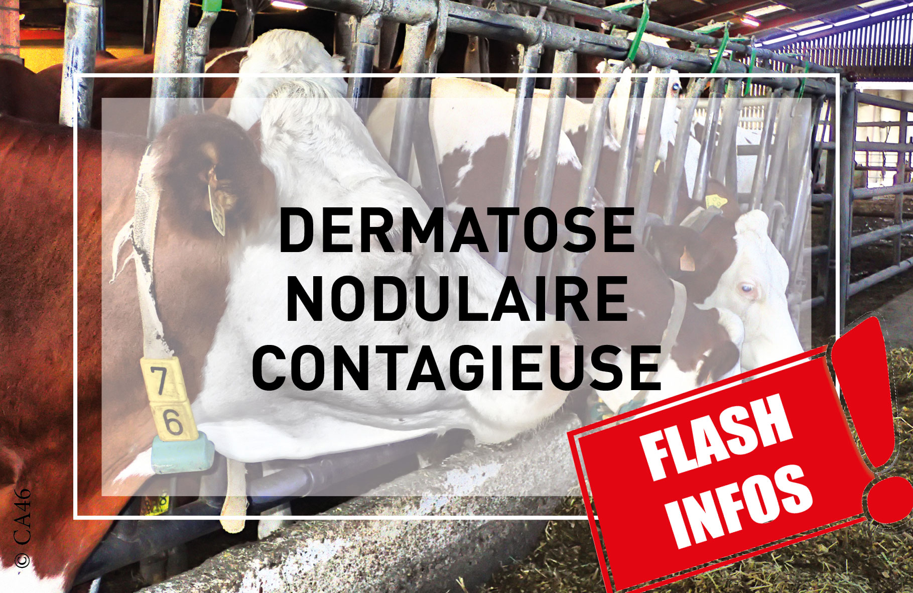 DNC&nbsp;: le point sur le mesures renforcées