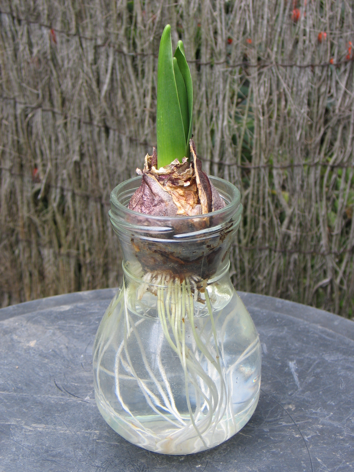 Jardinez avec la lune