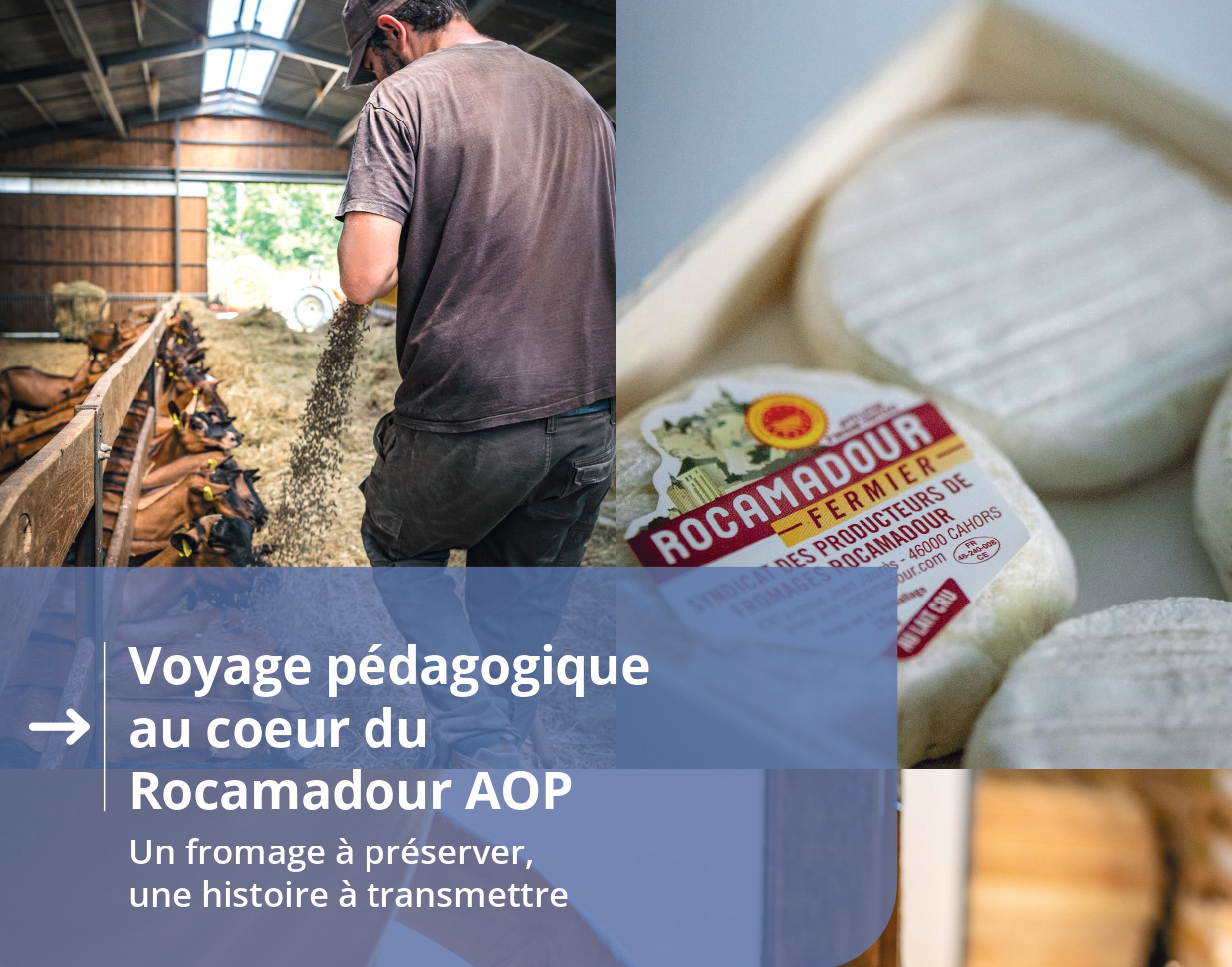 Le Rocamadour AOP s’invite dans les écoles primaires