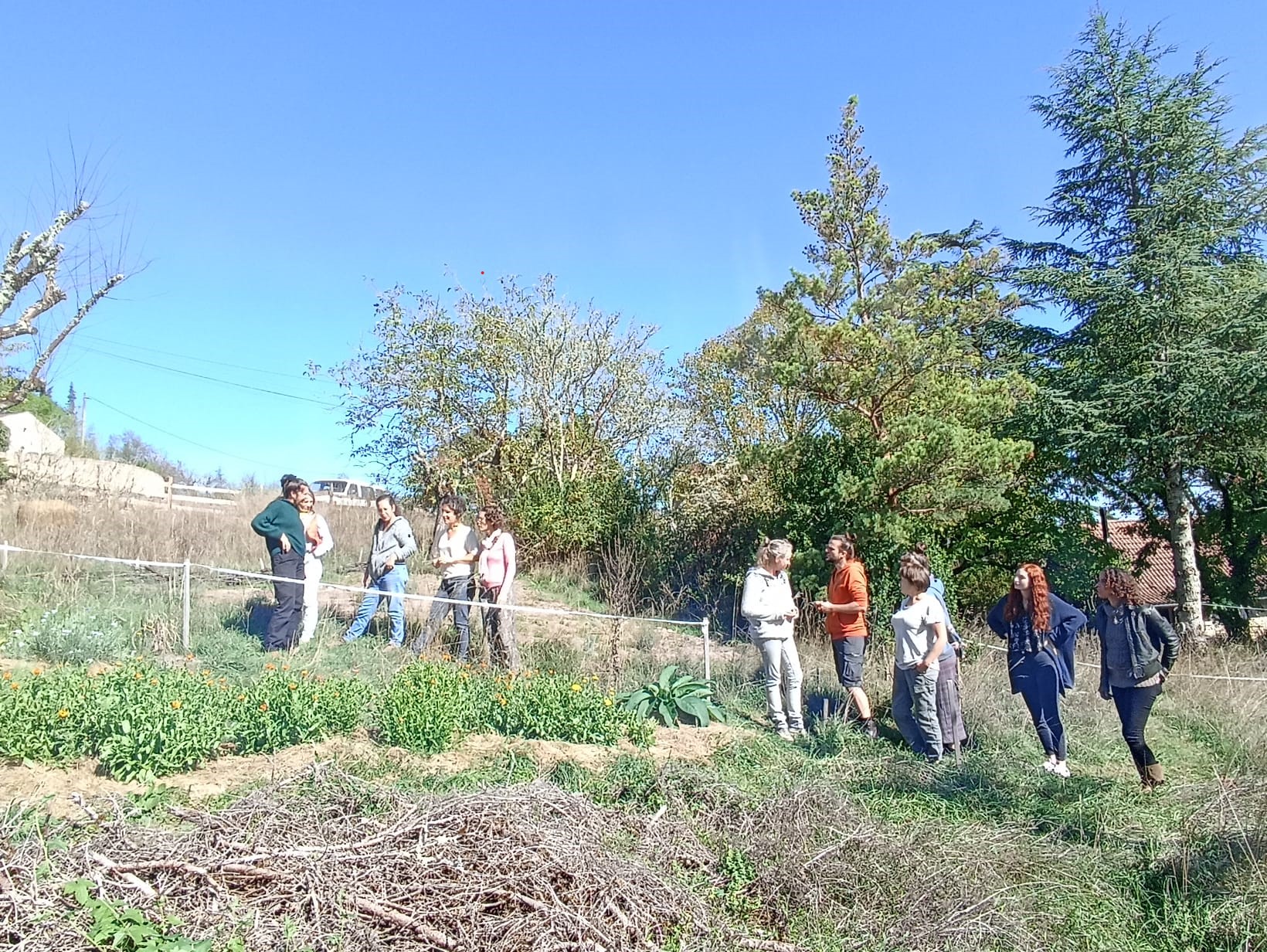 Rencontre PPAM bio&nbsp;: des échanges riches pour les nouveaux installés et porteurs de projets