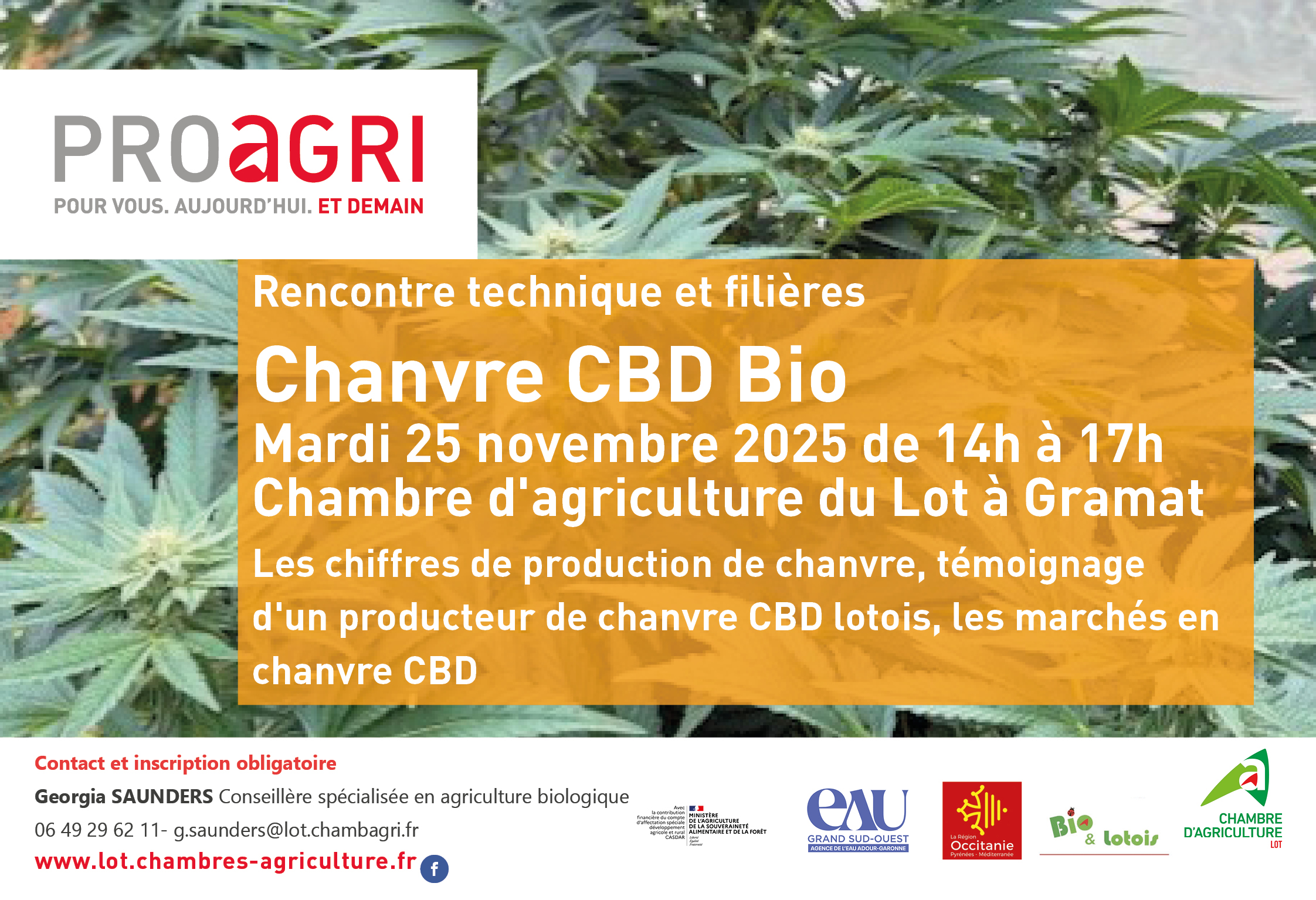 Rencontre technique «&nbsp;Chambre CBD bio&nbsp;», le 25 novembre 2025 à Gramat