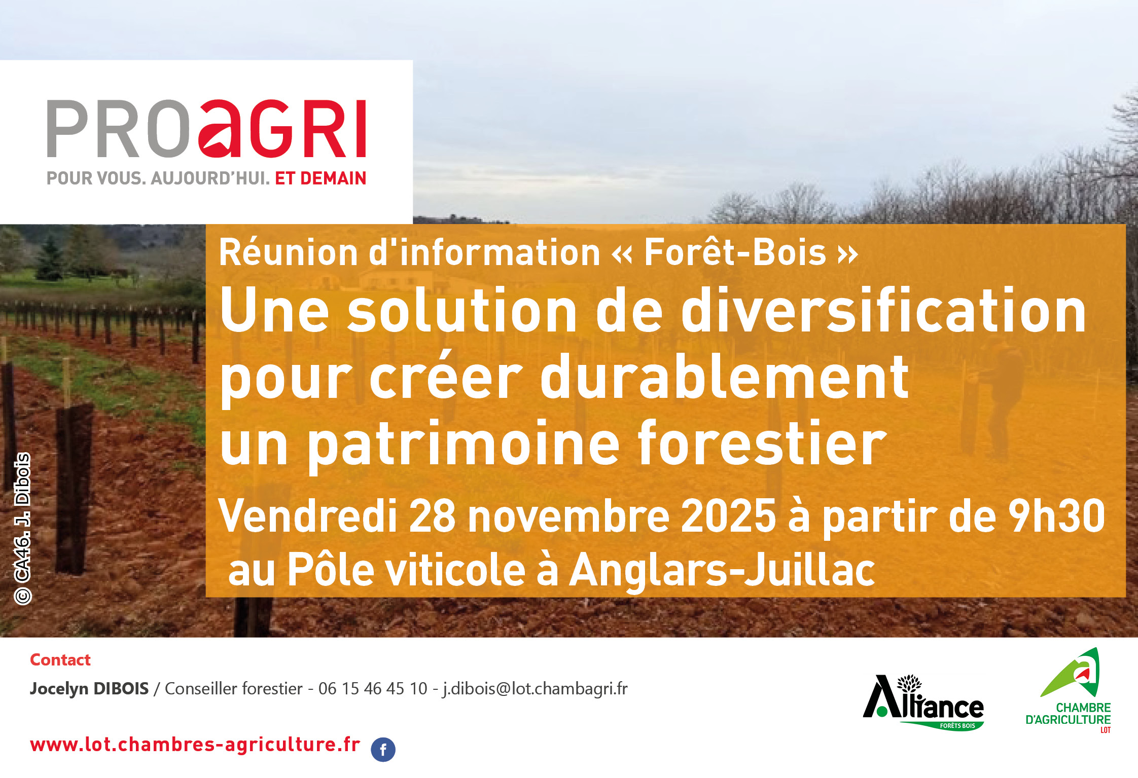 Réunion d’information «&nbsp;Forêt-Bois&nbsp;»&nbsp;: une solution de diversification pour créer durablement un patrimoine forestier