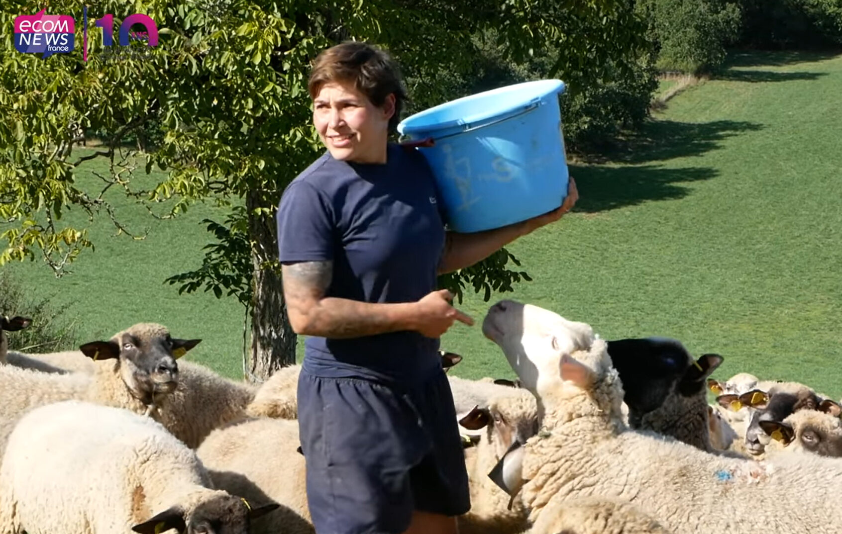 Transmission d’exploitations en Cauvaldor&nbsp;: un reportage du média Ecomnews