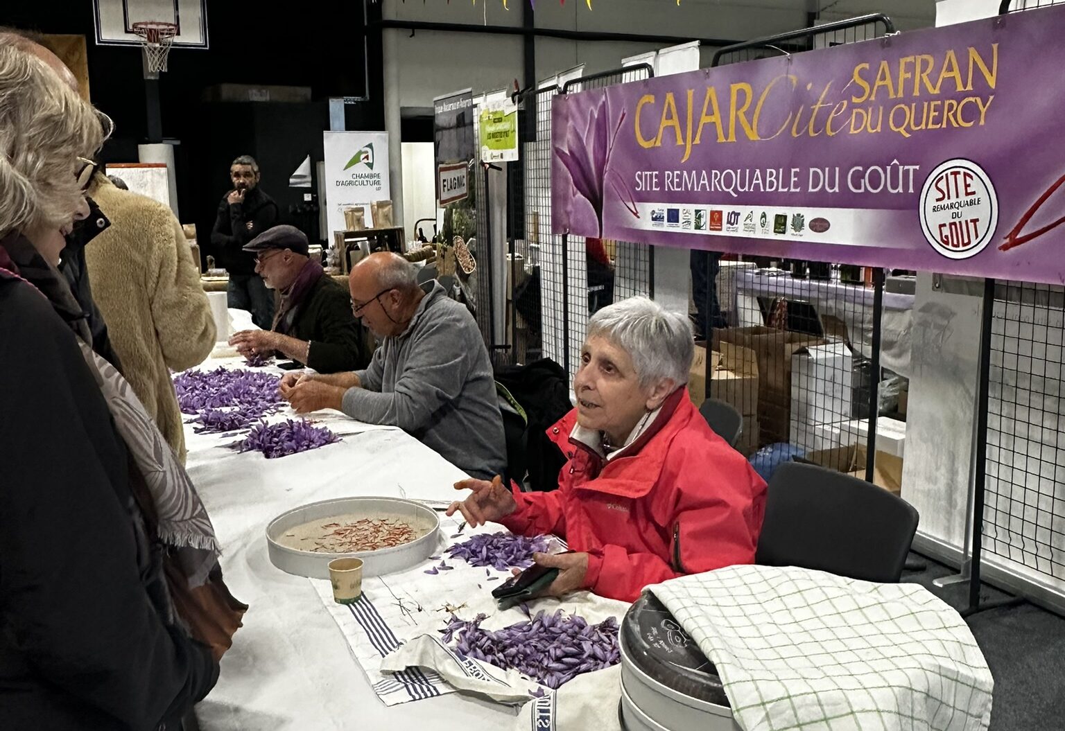 Fête du safran 2025&nbsp;: enthousiasme pour la reine des épices du Lot