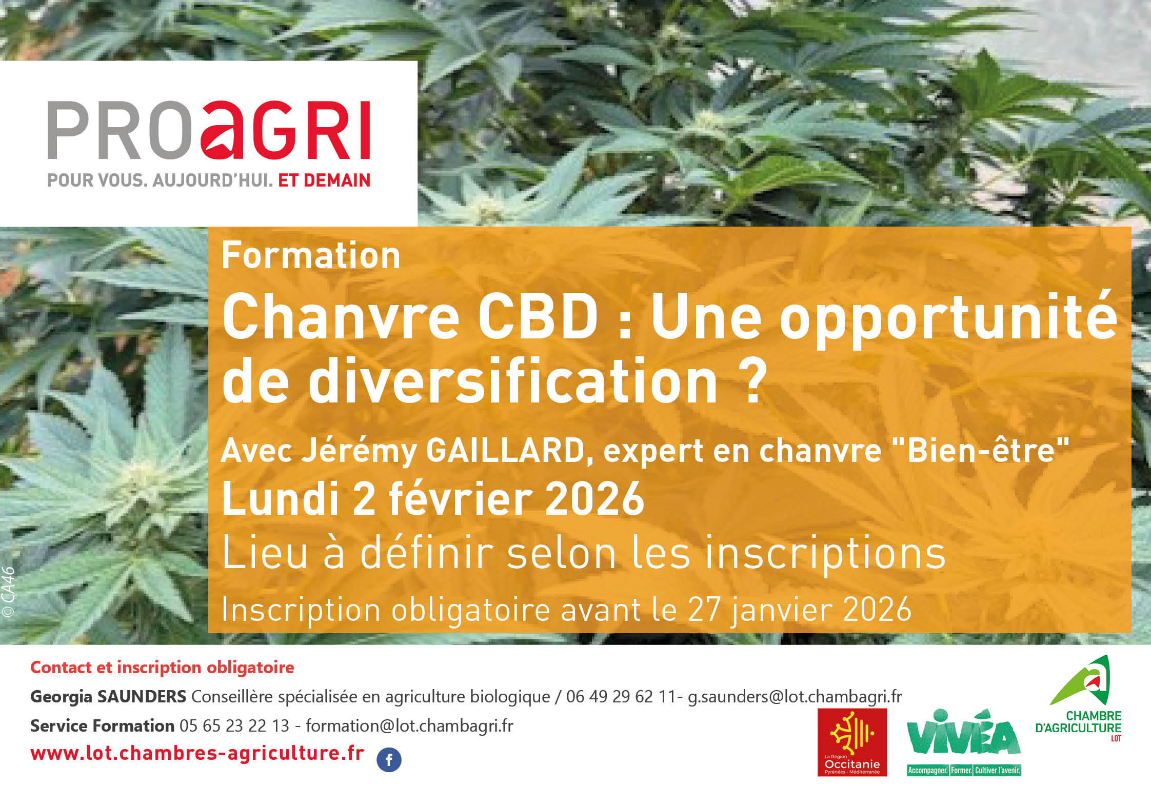 Inscrivez-vous à la formation «&nbsp;Chanvre CBD&nbsp;: une opportunité de diversification&nbsp;»