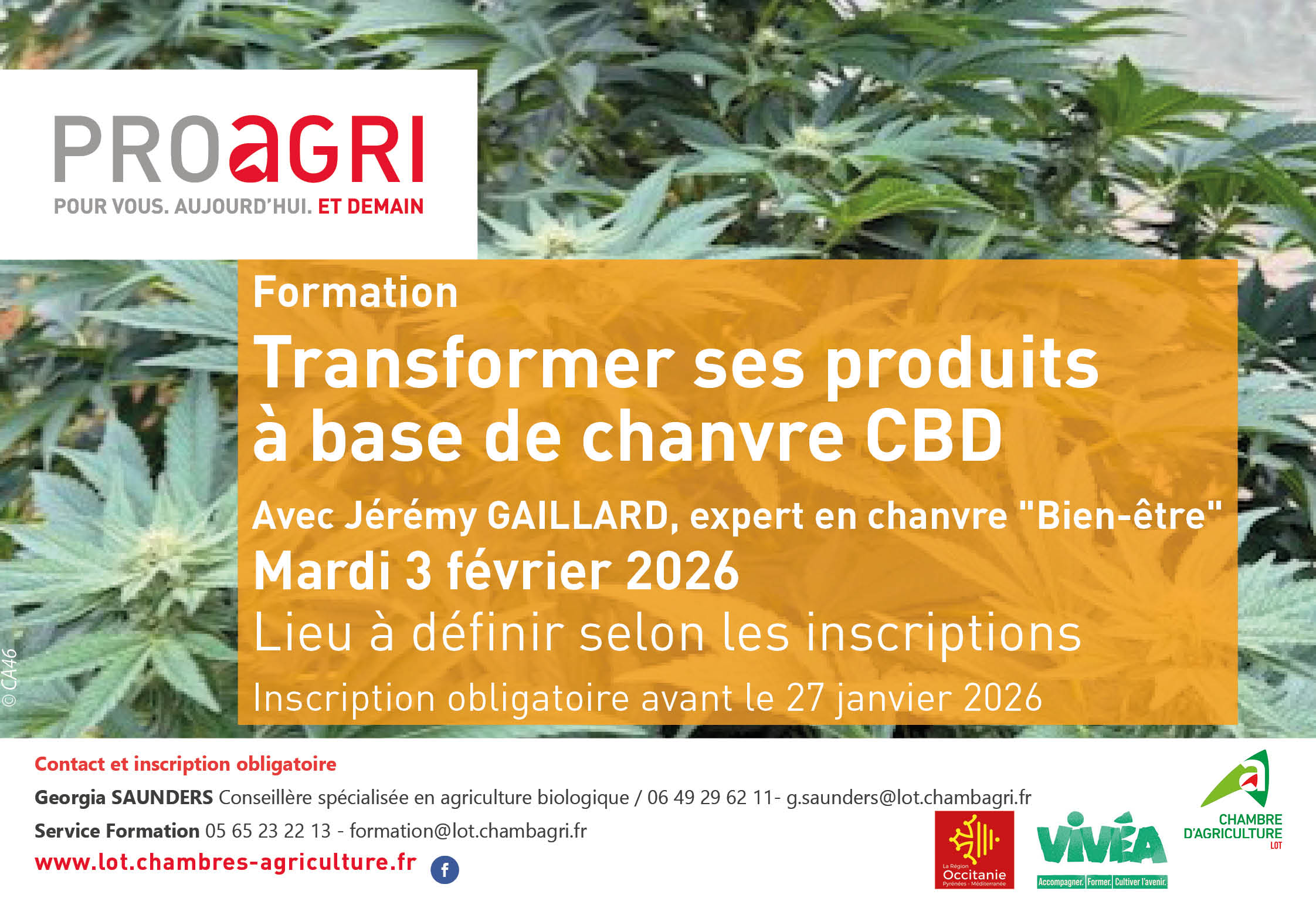 Formation «&nbsp;Transformer ses produits à base de chanvre CBD&nbsp;»