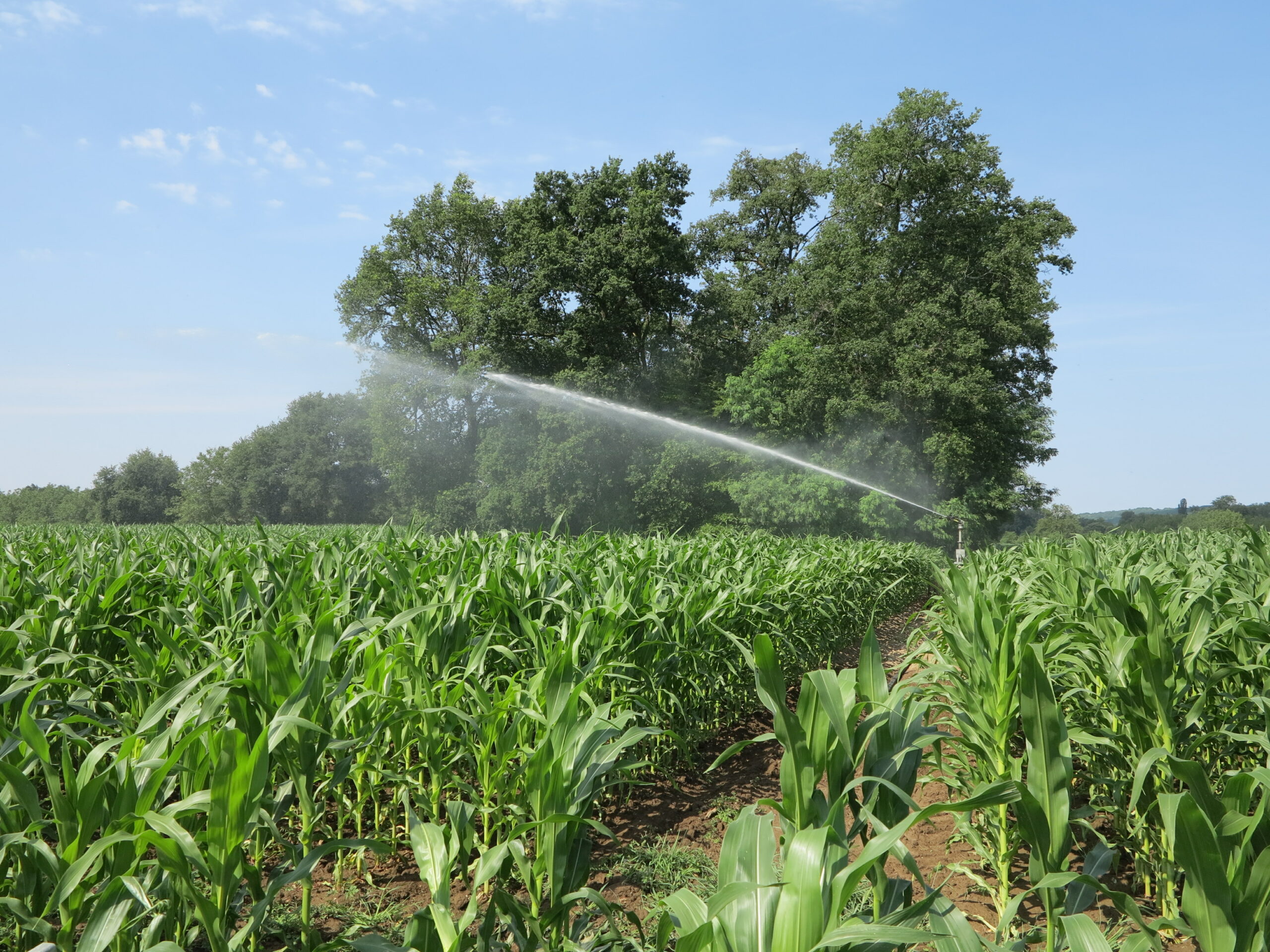 Bilan de la campagne d’irrigation&nbsp;: 2025, l’été le plus sec de la décennie dans le Lot